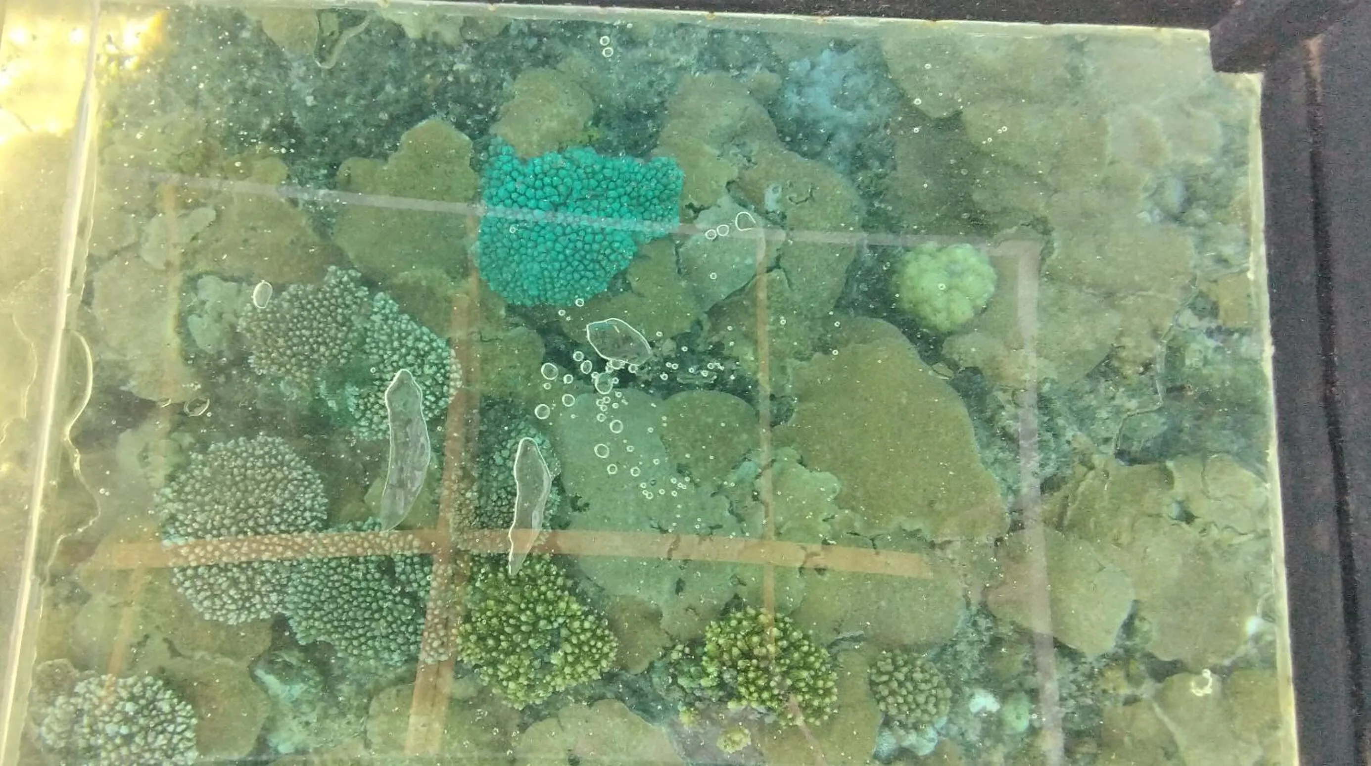 Anajawan Island Beachfront Resort