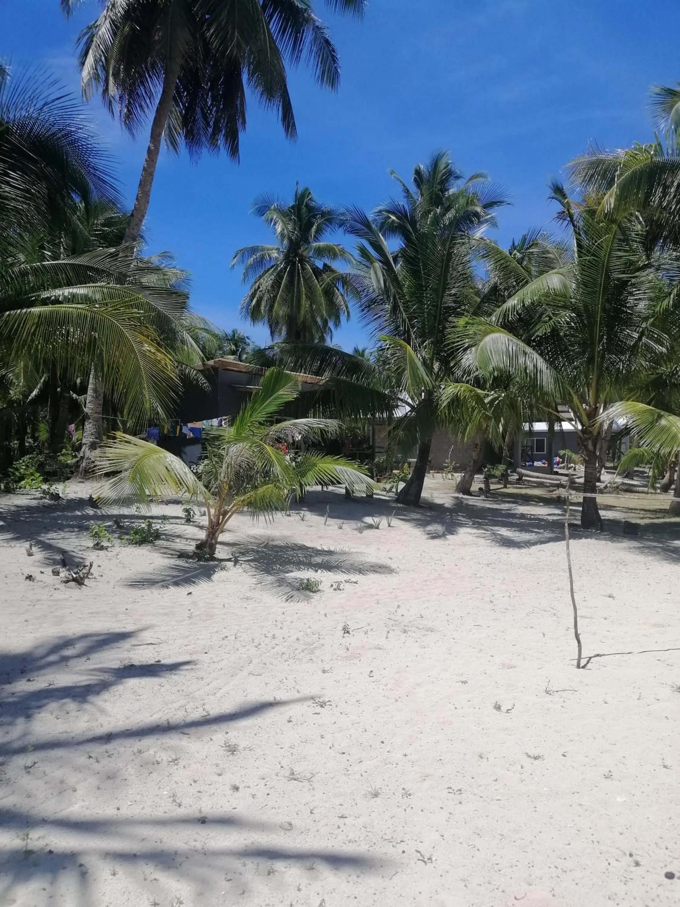 Anajawan Island Beachfront Resort