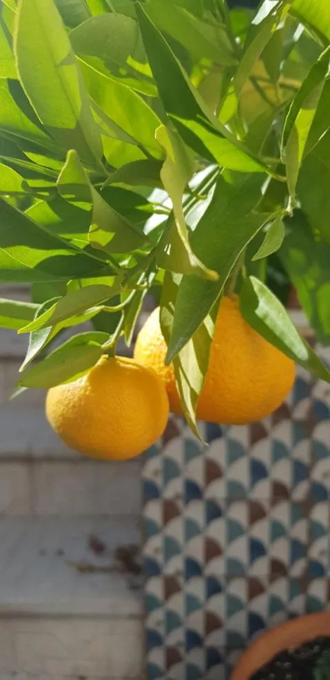 Casa Rural los Danzantes