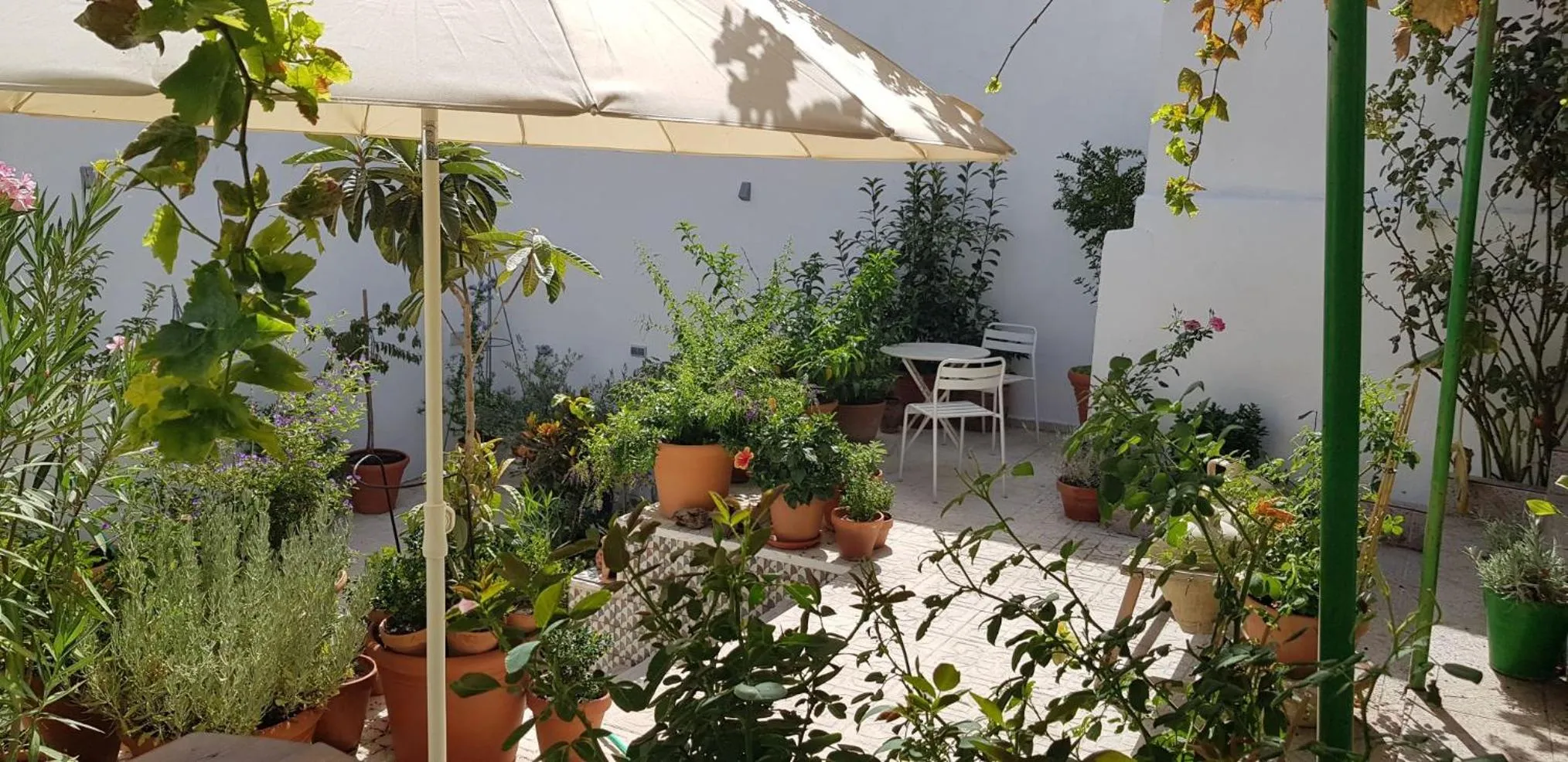 Casa Rural los Danzantes