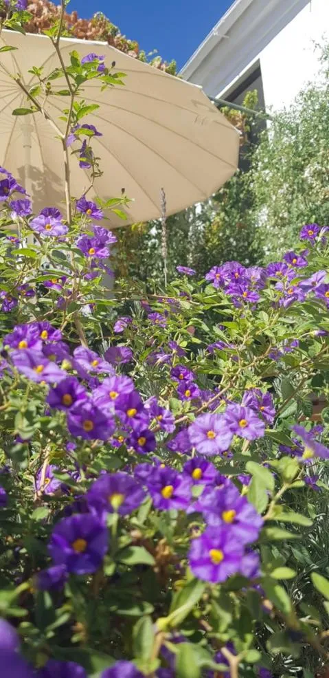 Casa Rural los Danzantes