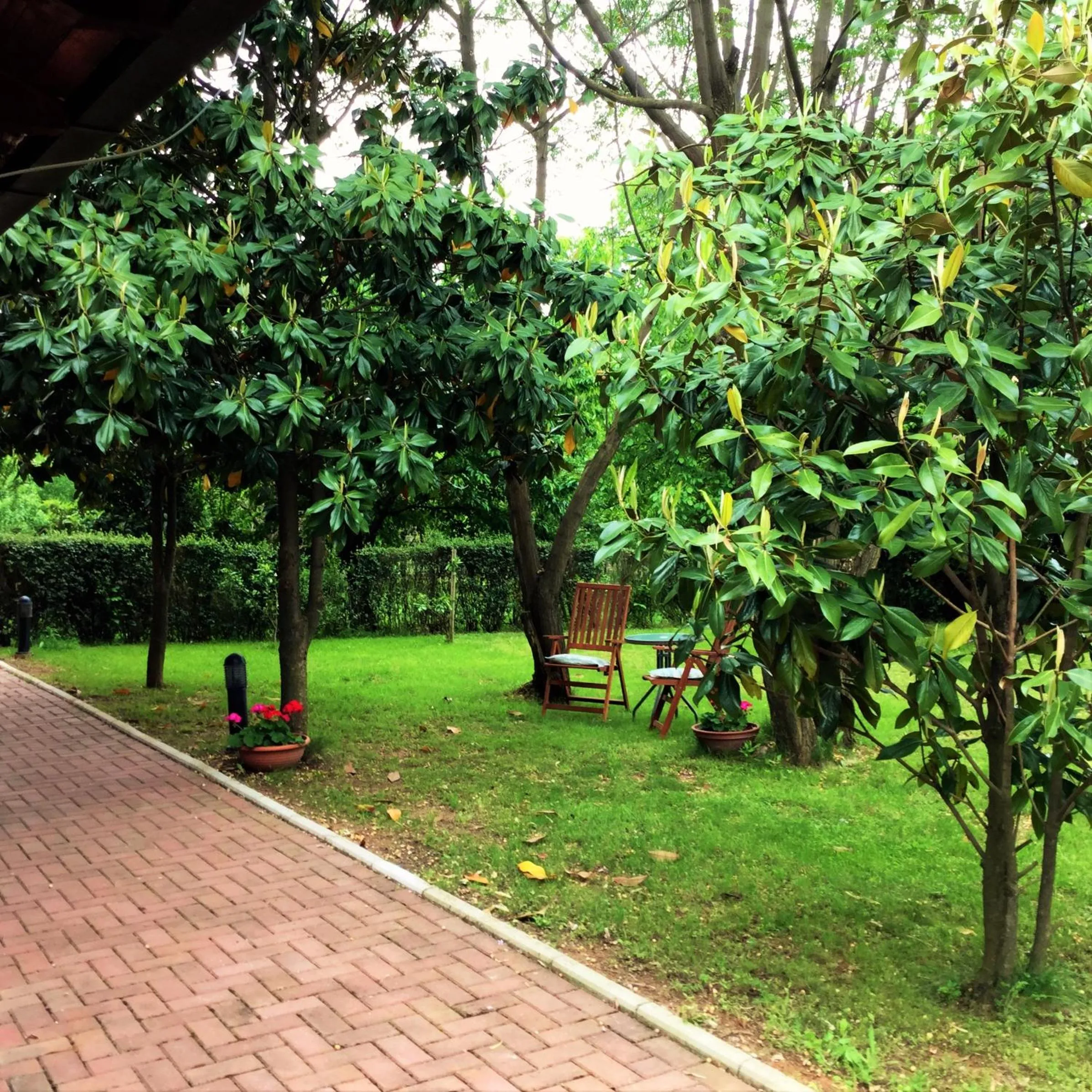 Garden in Pansion Bencun
