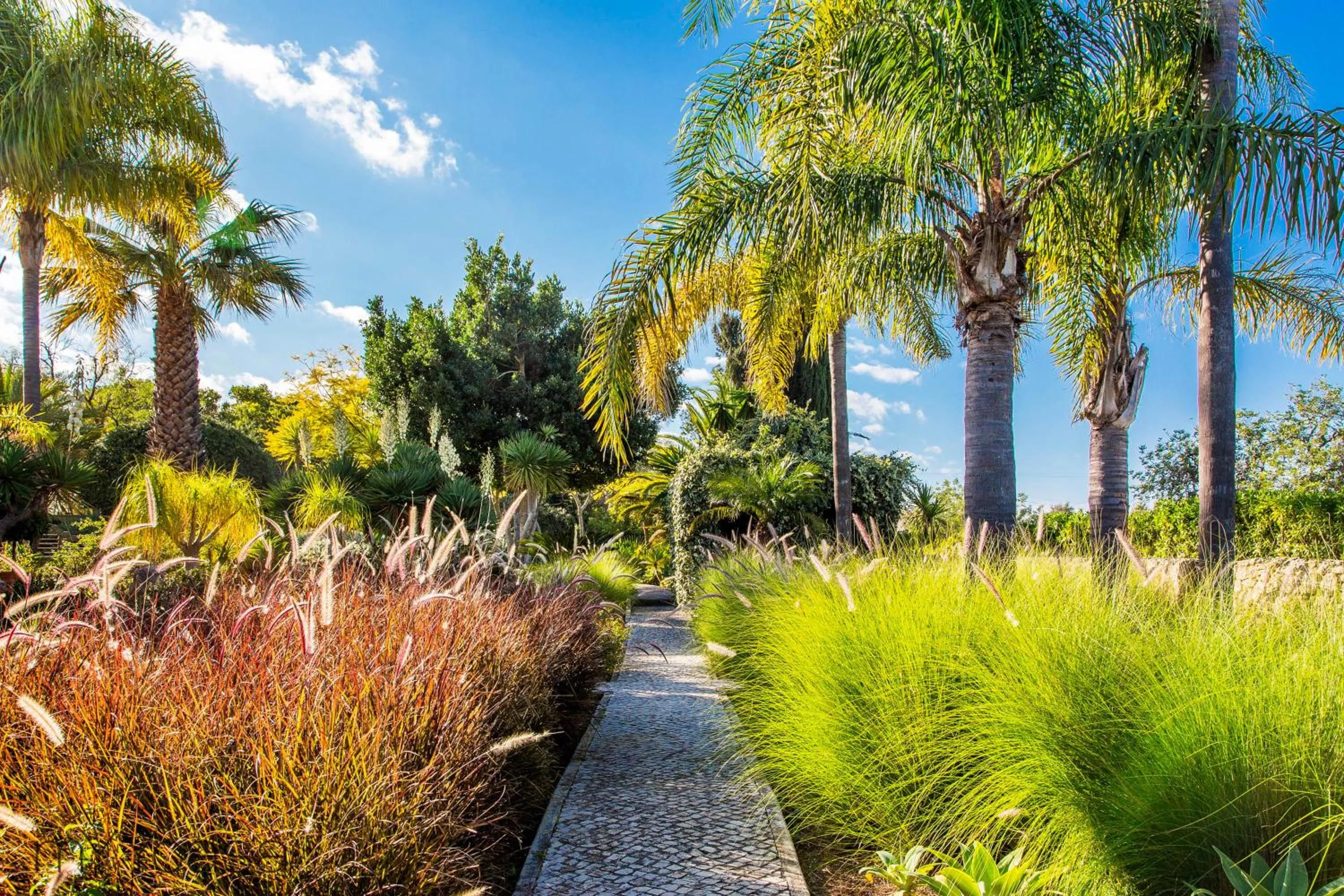 Garden in Quinta Azul - Gorgeous Apartment with Pool & Private Terrace