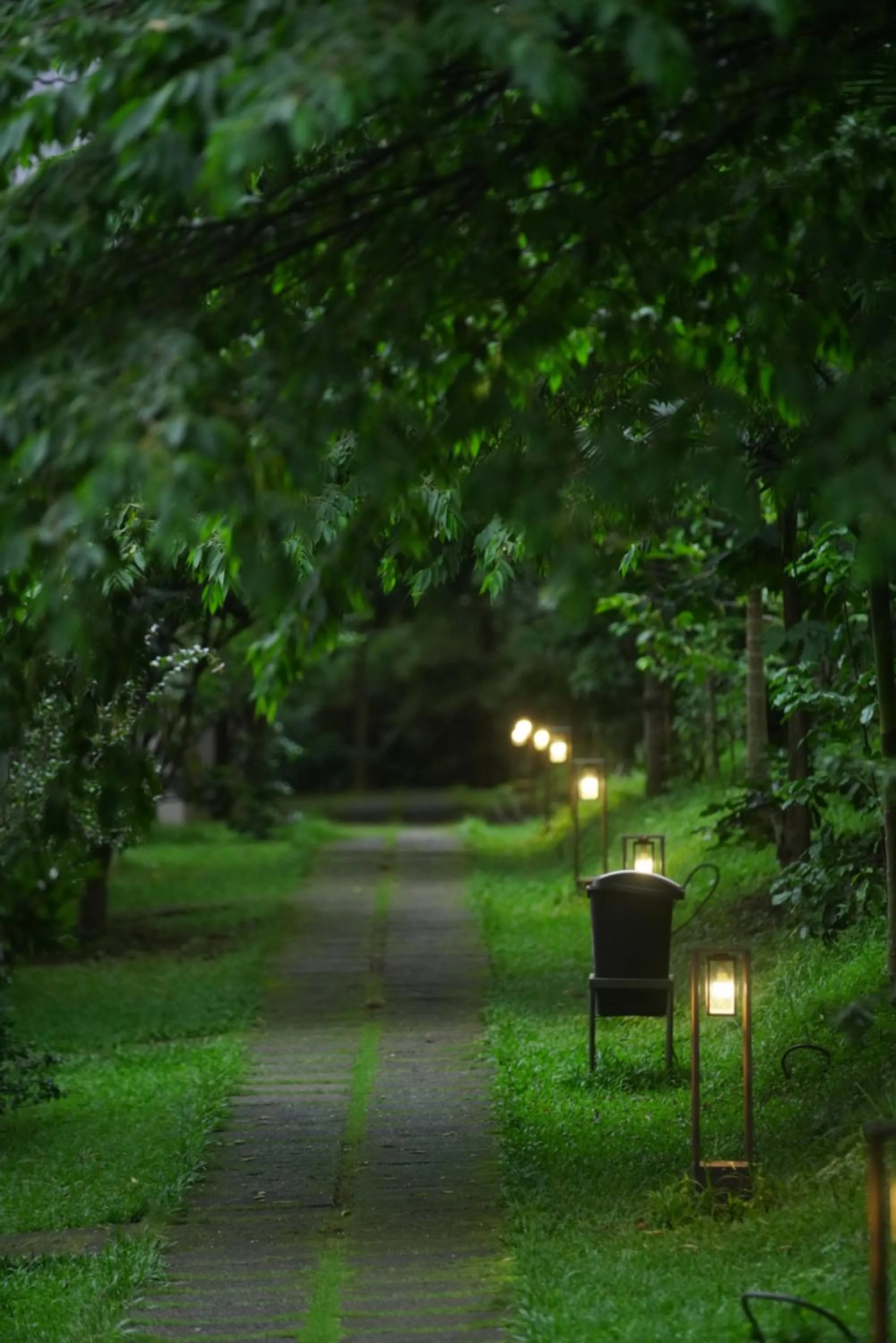 Garden in Coffee Greens Resort