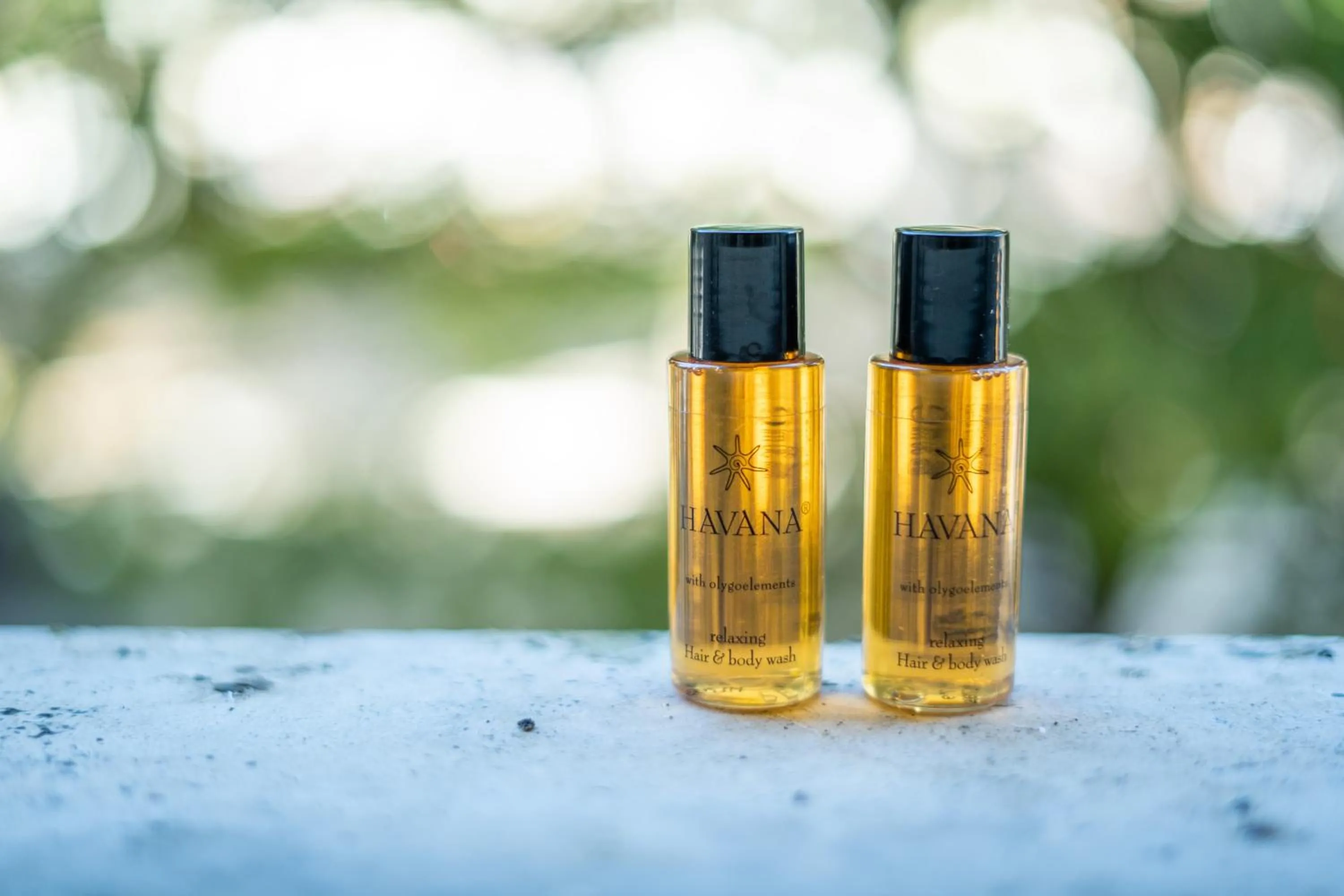 Decorative detail in Capital Rooms