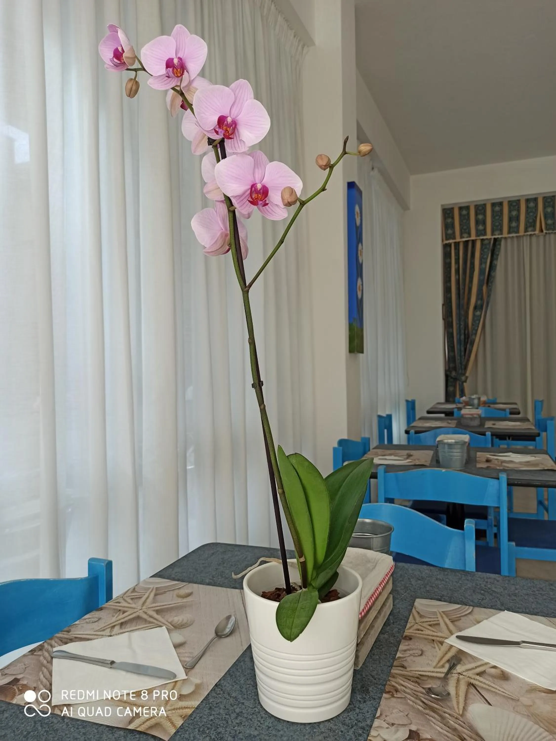 Restaurant/places to eat in Arix Hotel