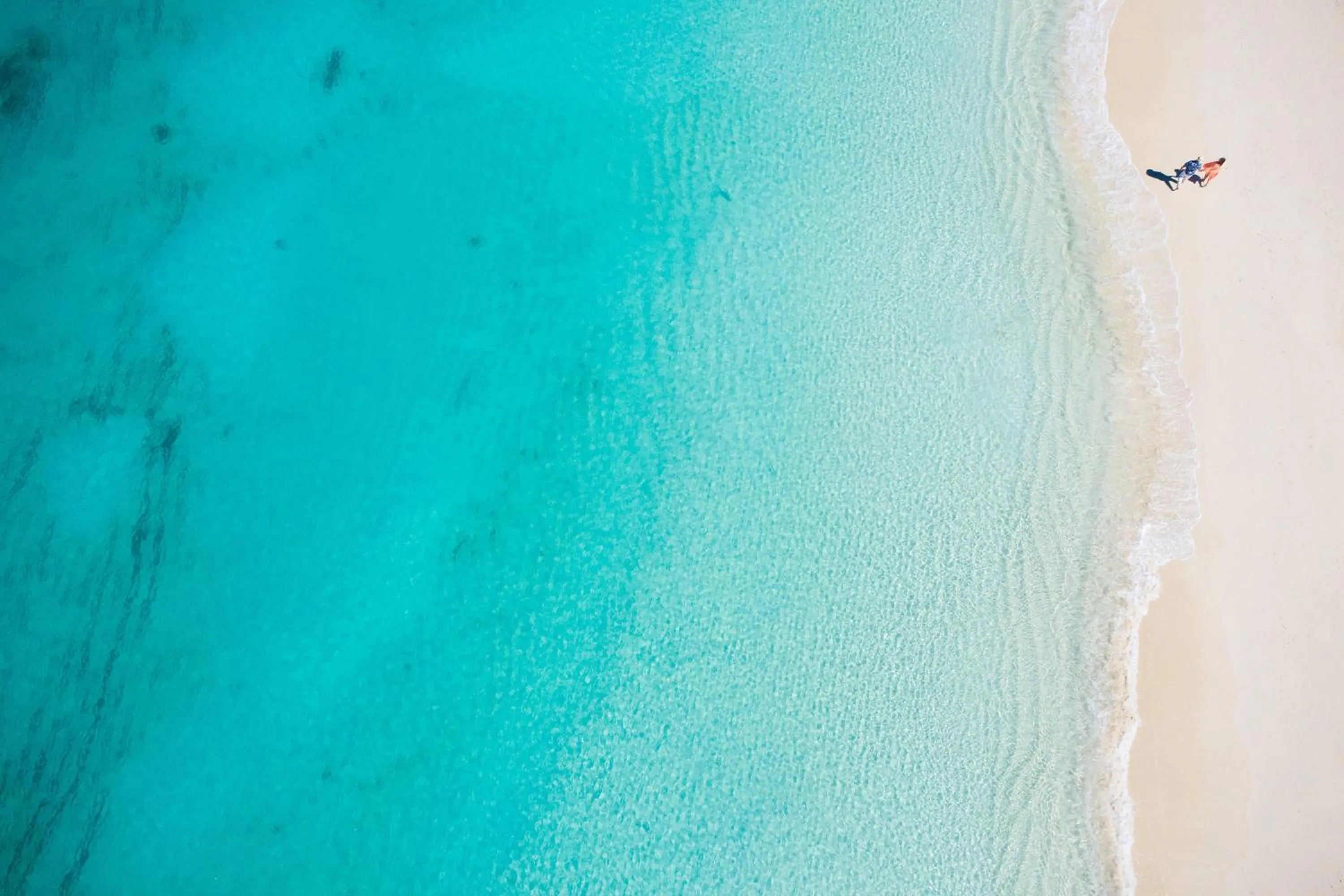 Beach in The Ritz-Carlton, Turks & Caicos