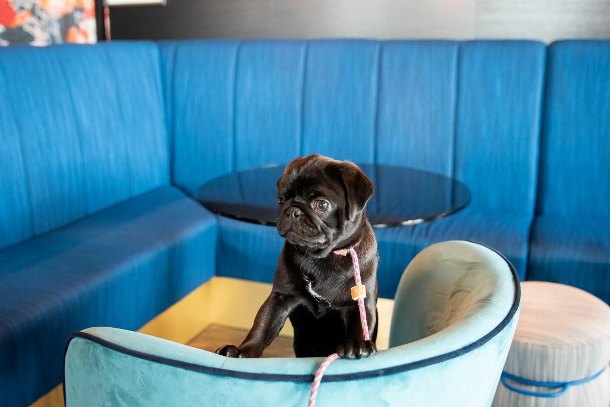 Lounge or bar in ProfilHotels Halmstad Plaza