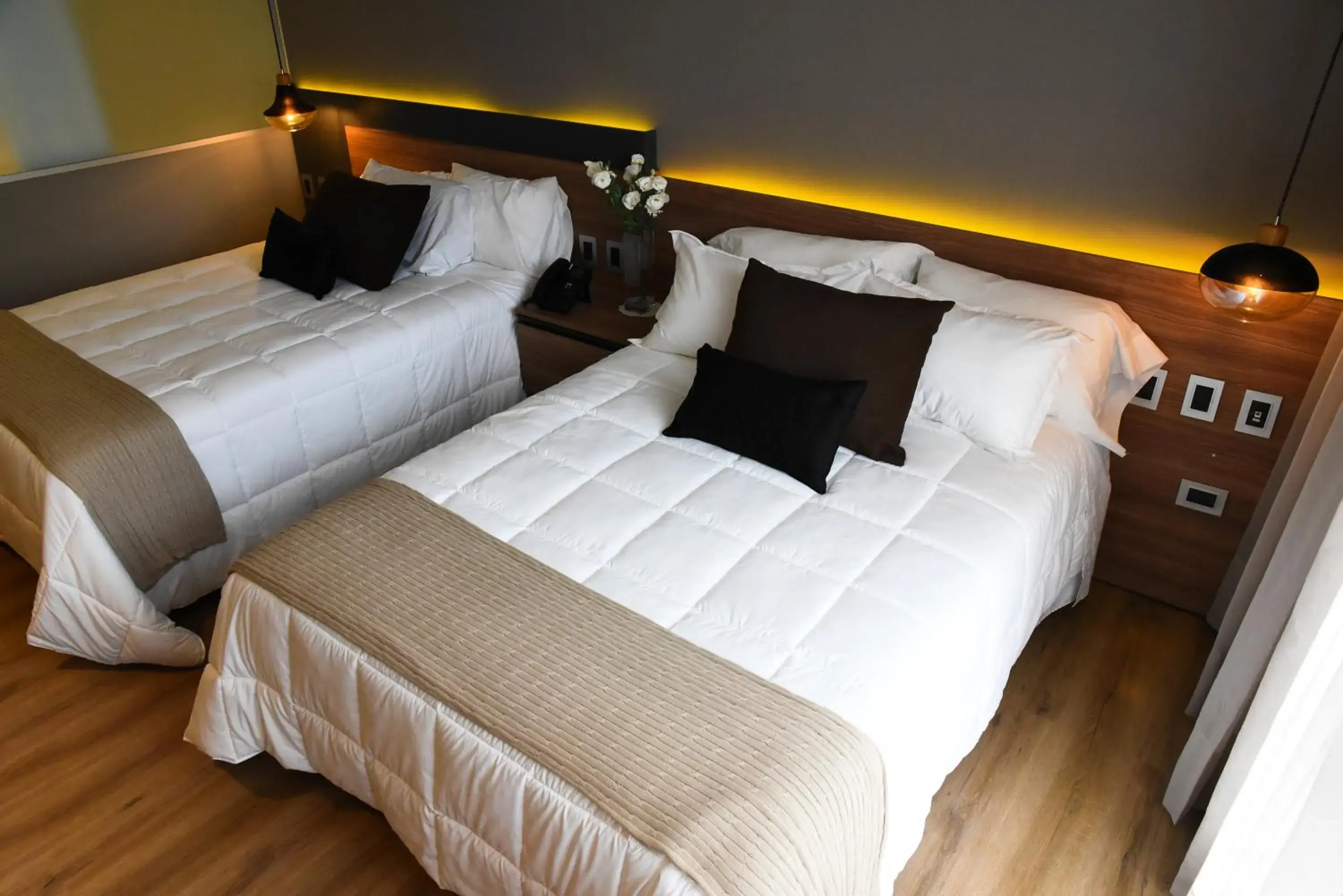 Standard Twin Room in Hotel Soho Suites Standard Twin Room in Hotel Soho Suites