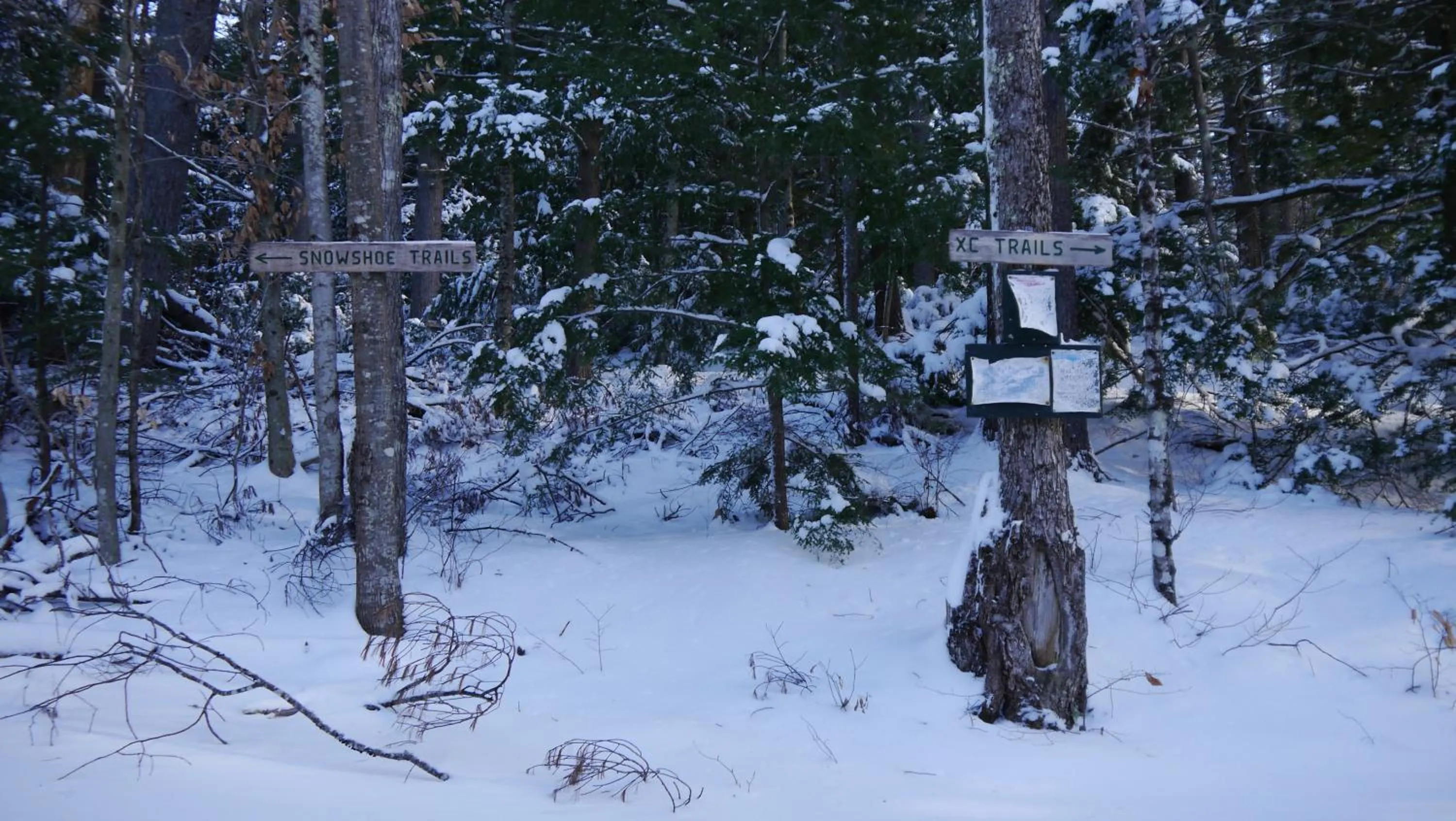 Property building in Purity Spring Resort