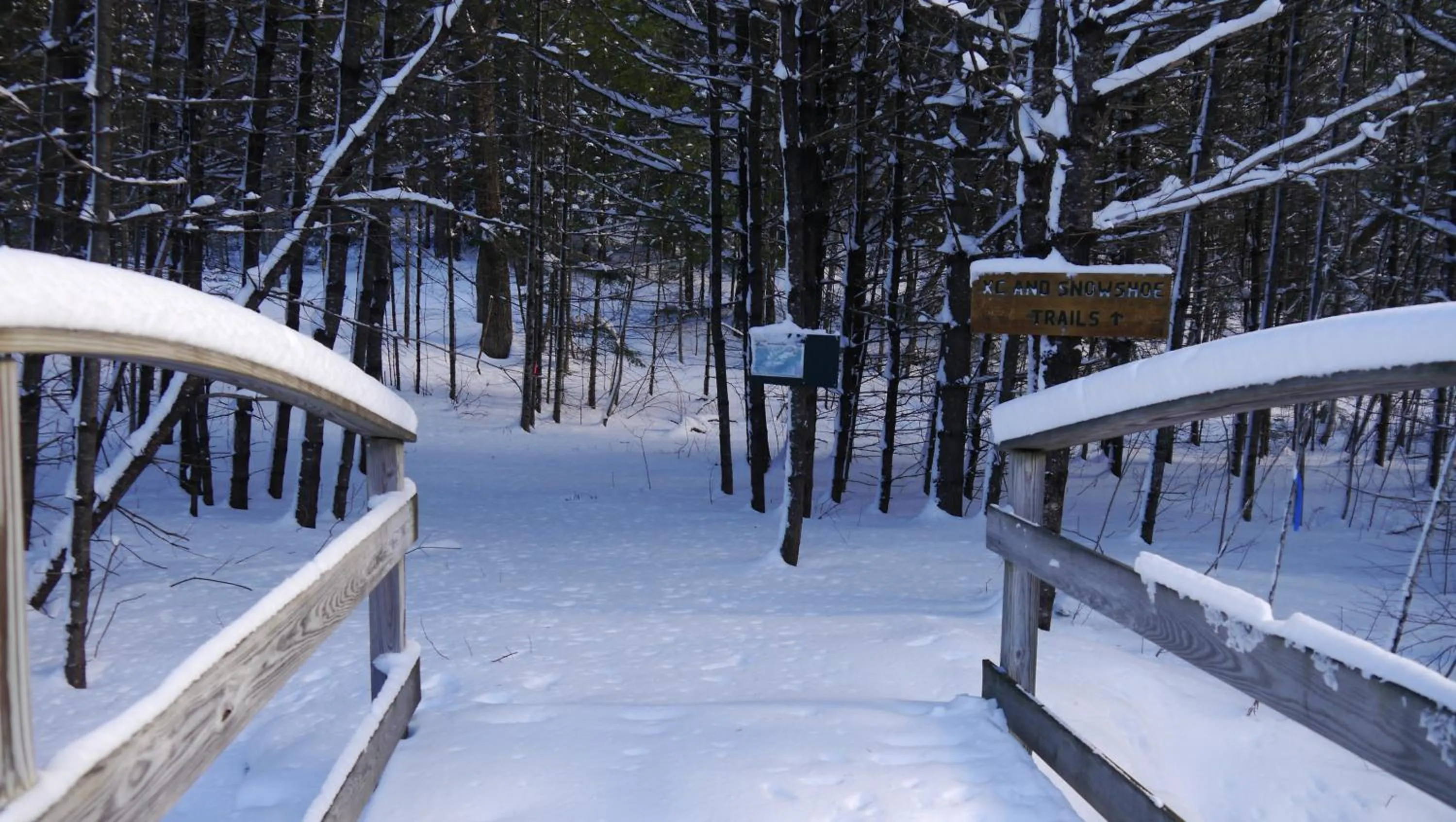 Winter in Purity Spring Resort