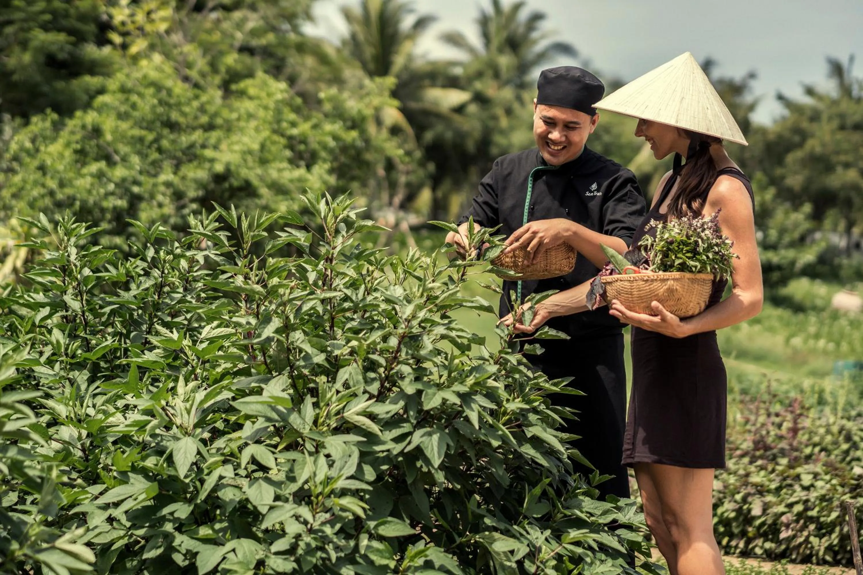 Natural landscape in Four Seasons The Nam Hai, Hoi An, Vietnam