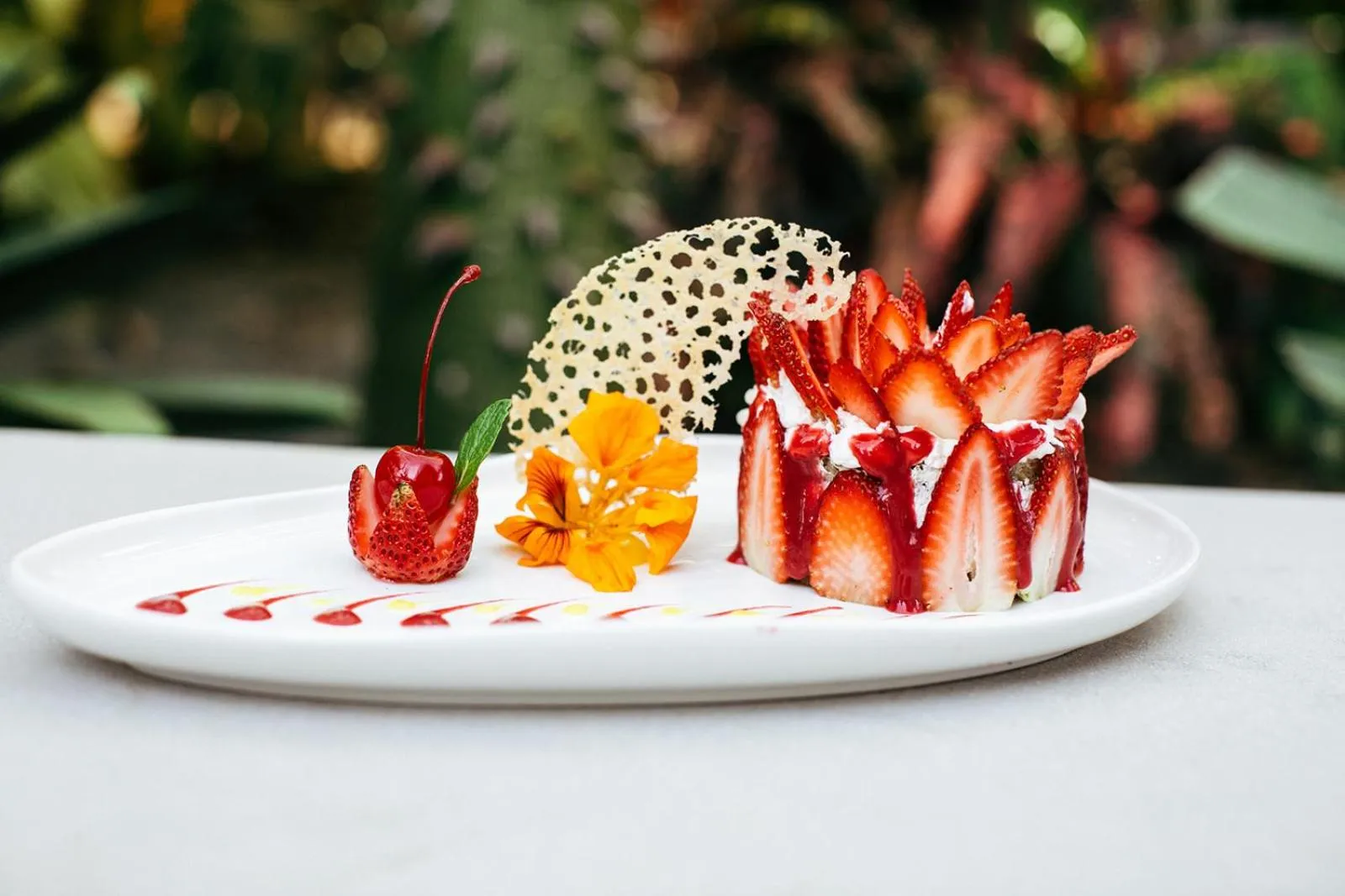 Restaurant/places to eat in Mother Earth Luxury Boutique Hotel, Restaurant & Spa