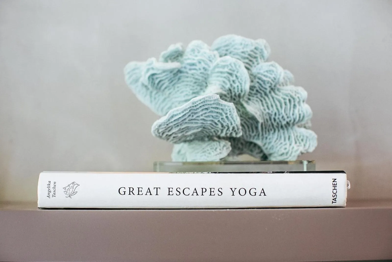 Decorative detail in Mother Earth Luxury Boutique Hotel, Restaurant & Spa