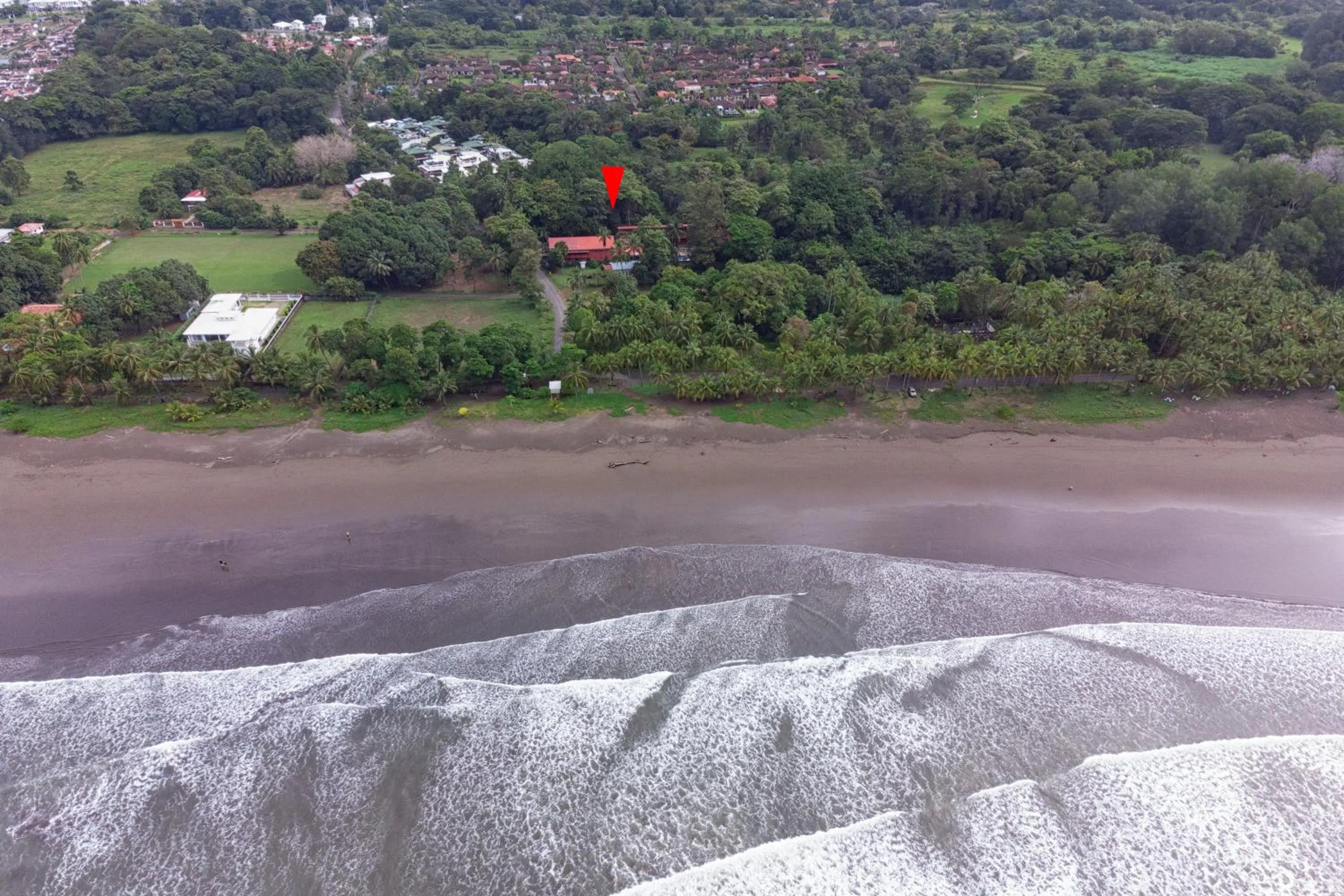 Natural landscape in Hotel Playa Bejuco