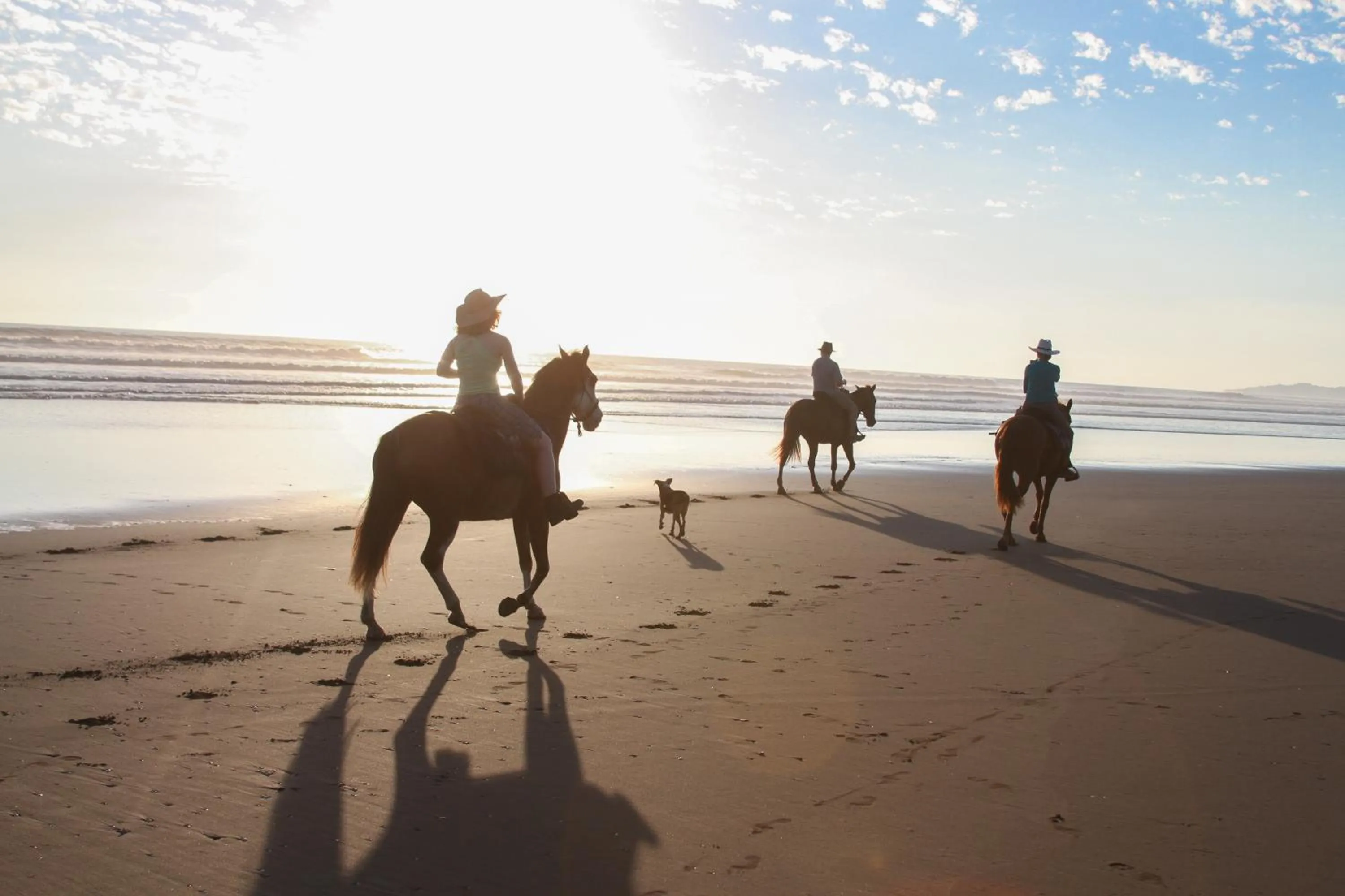 Horse-riding in Hotel Playa Bejuco