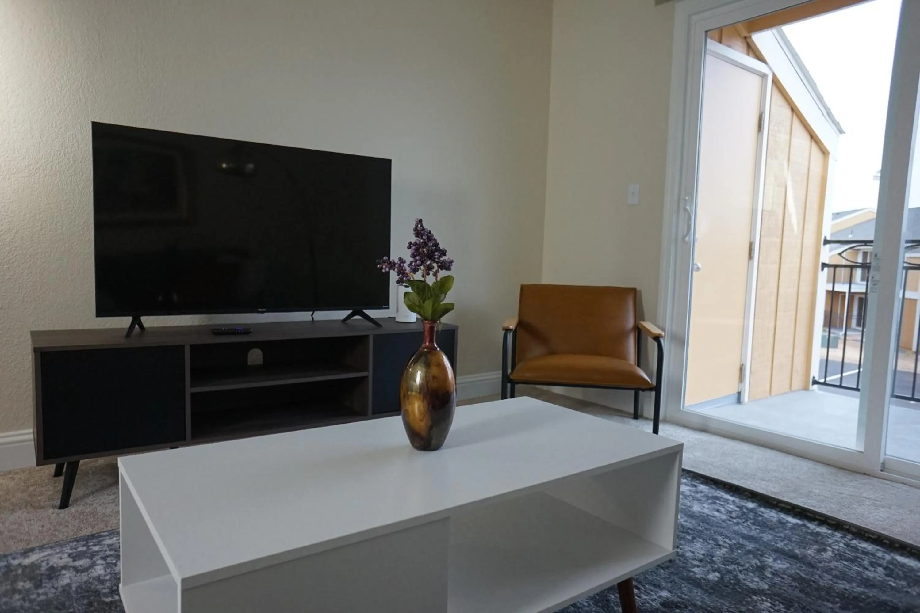 TV and multimedia in Sleepover 1BD 1BA Oklahoma City Apartments