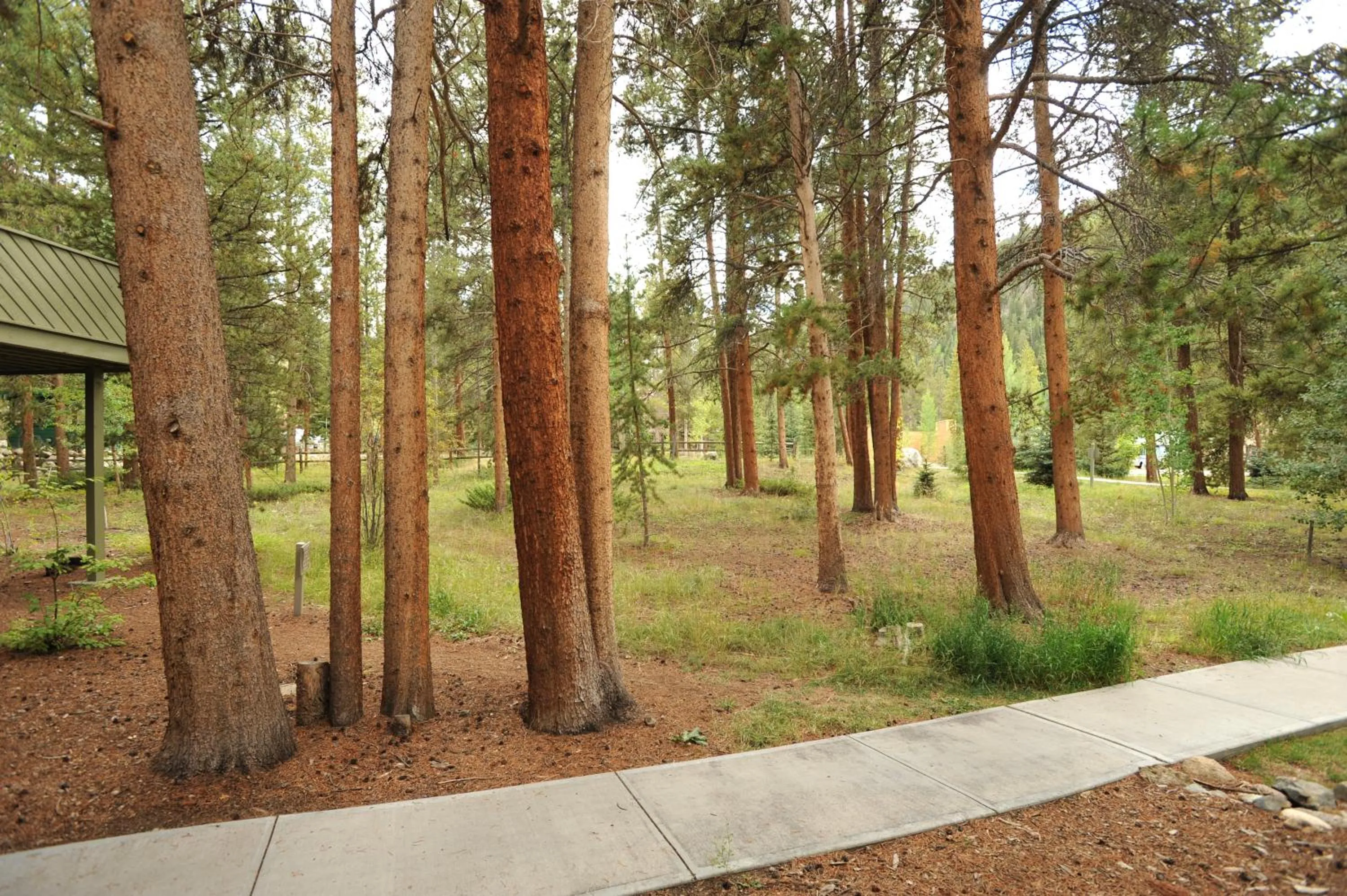 The Forest Neighborhood by Keystone Resort