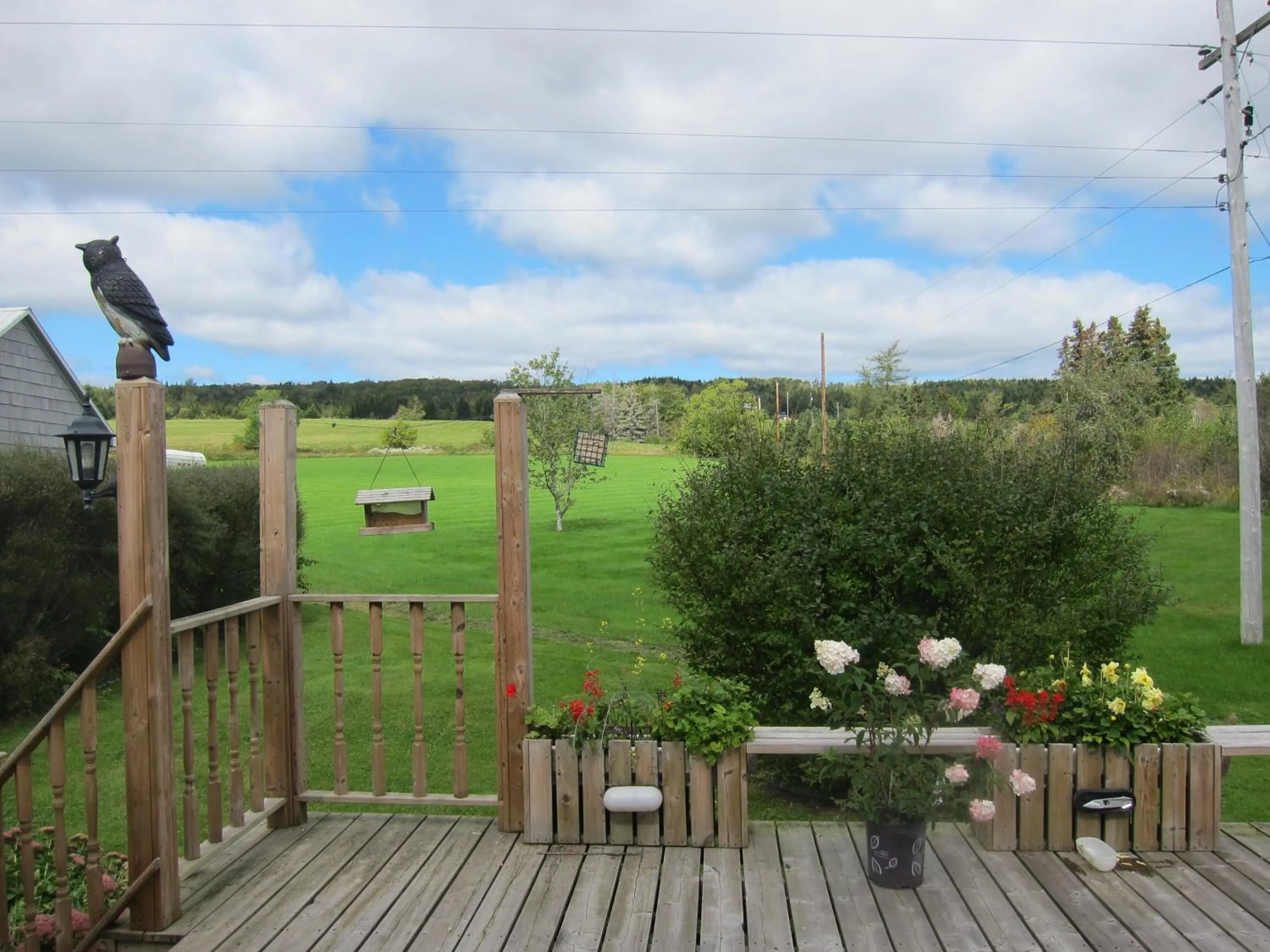 Day in Auld Farm Inn B&B