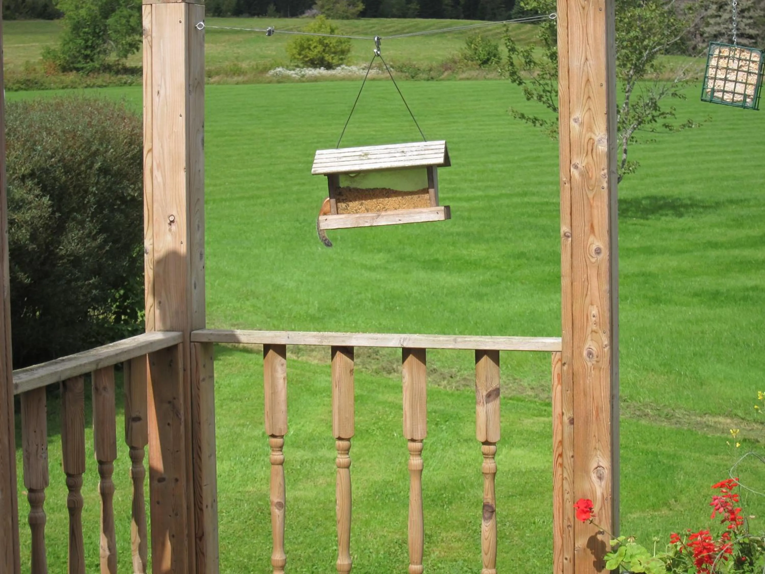 Day in Auld Farm Inn B&B