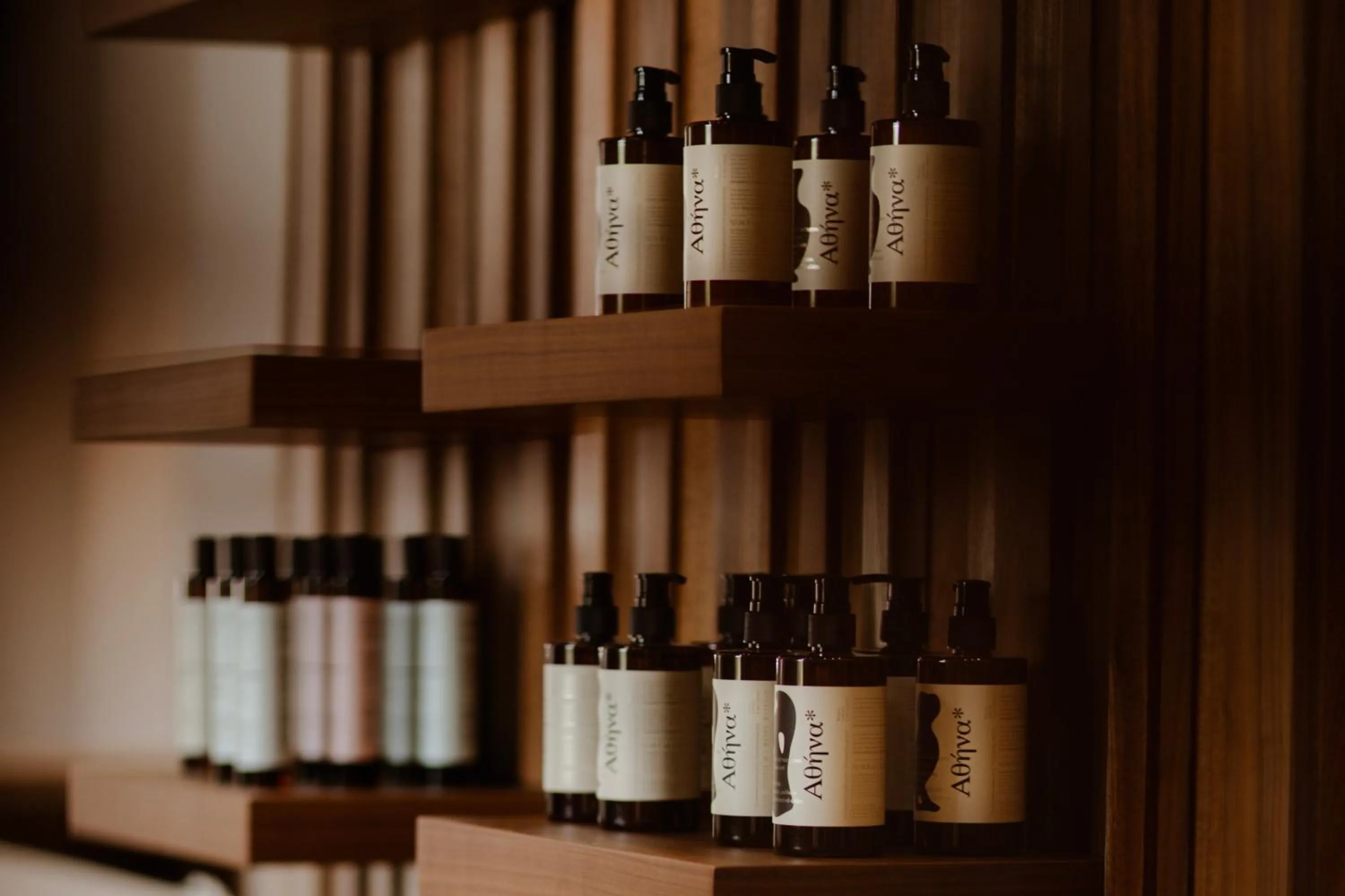 Area and facilities in ALERÓ Seaside Skyros Resort