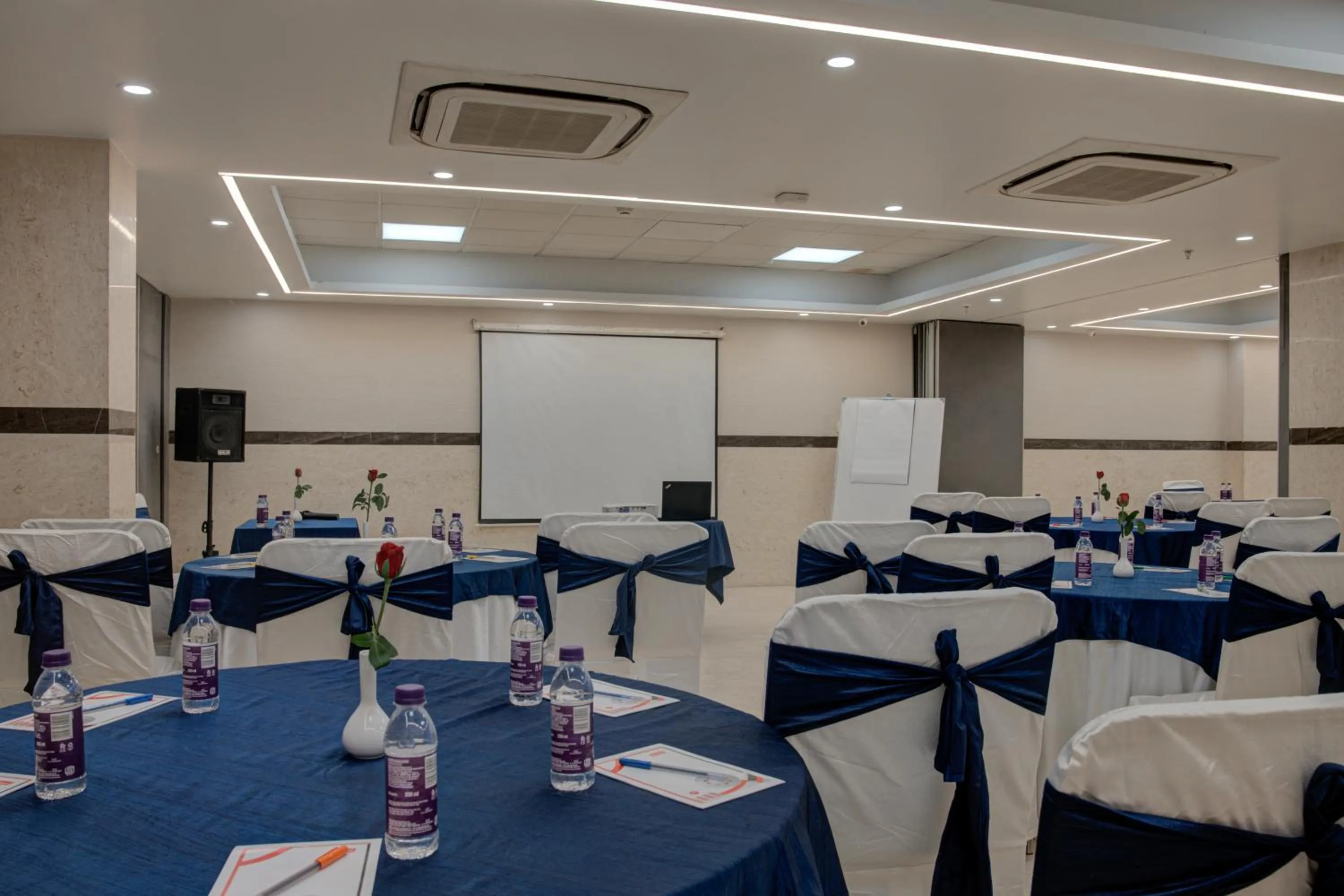 Meeting/conference room in Iris Park Hotel New Delhi