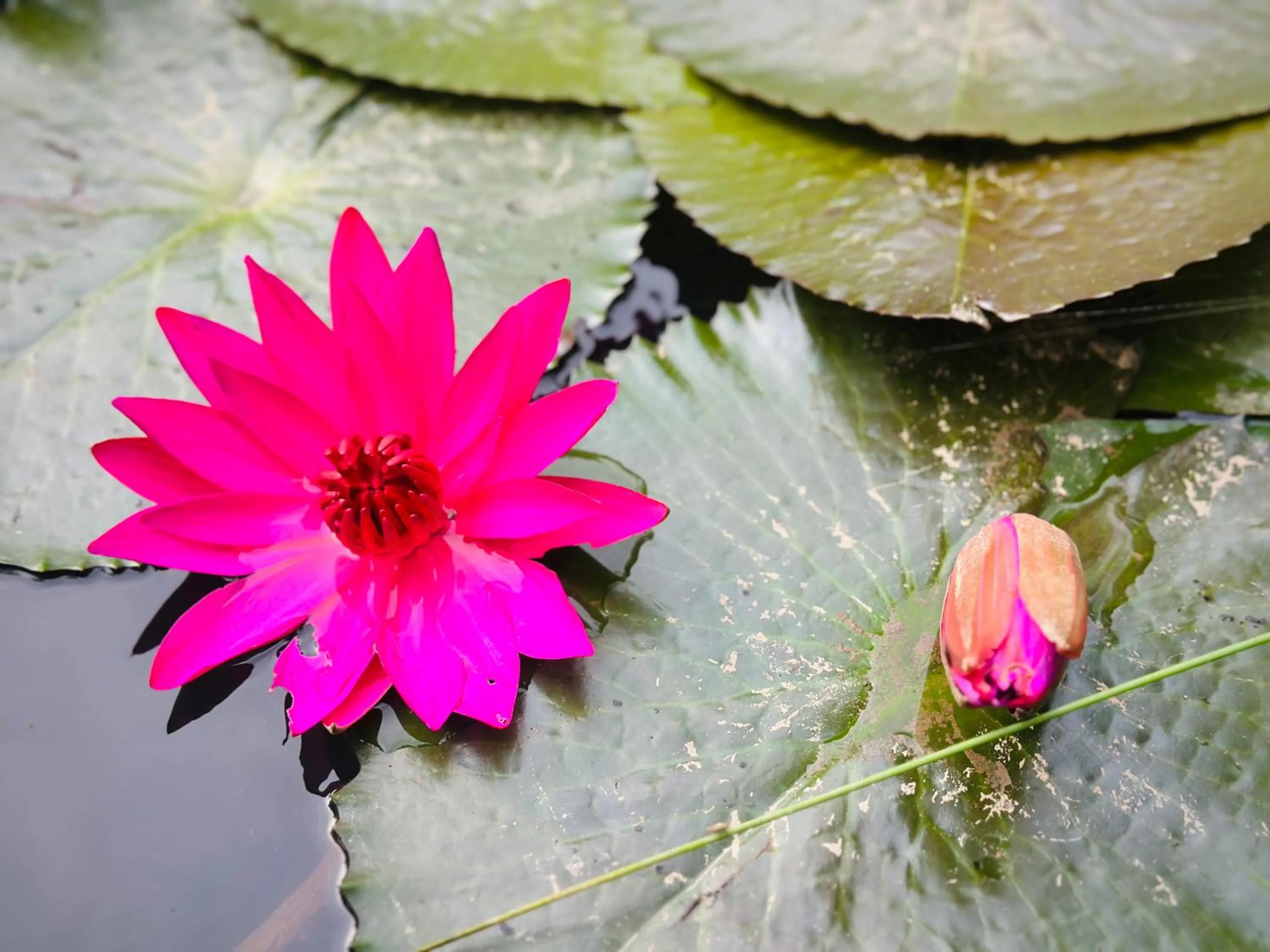 Natural landscape in Mango Home Riverside Eco - Resort