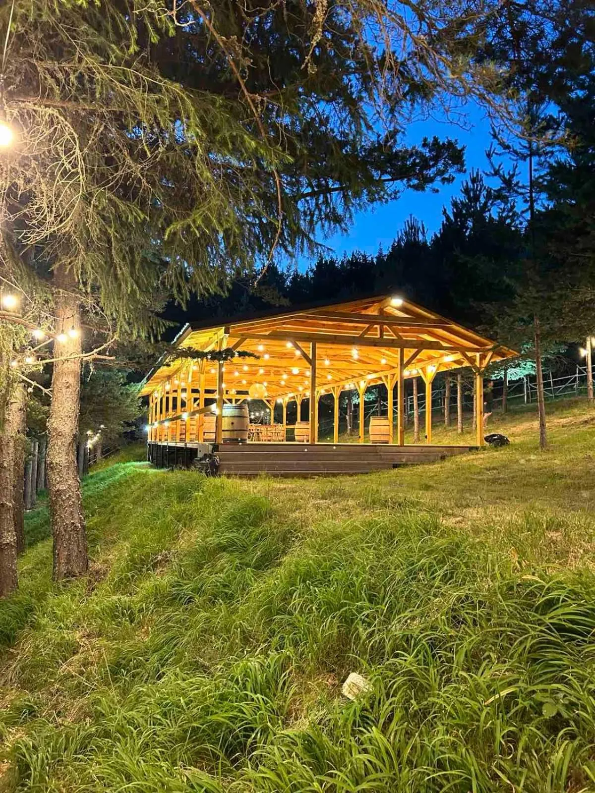 Natural landscape in Hotel COTA1110