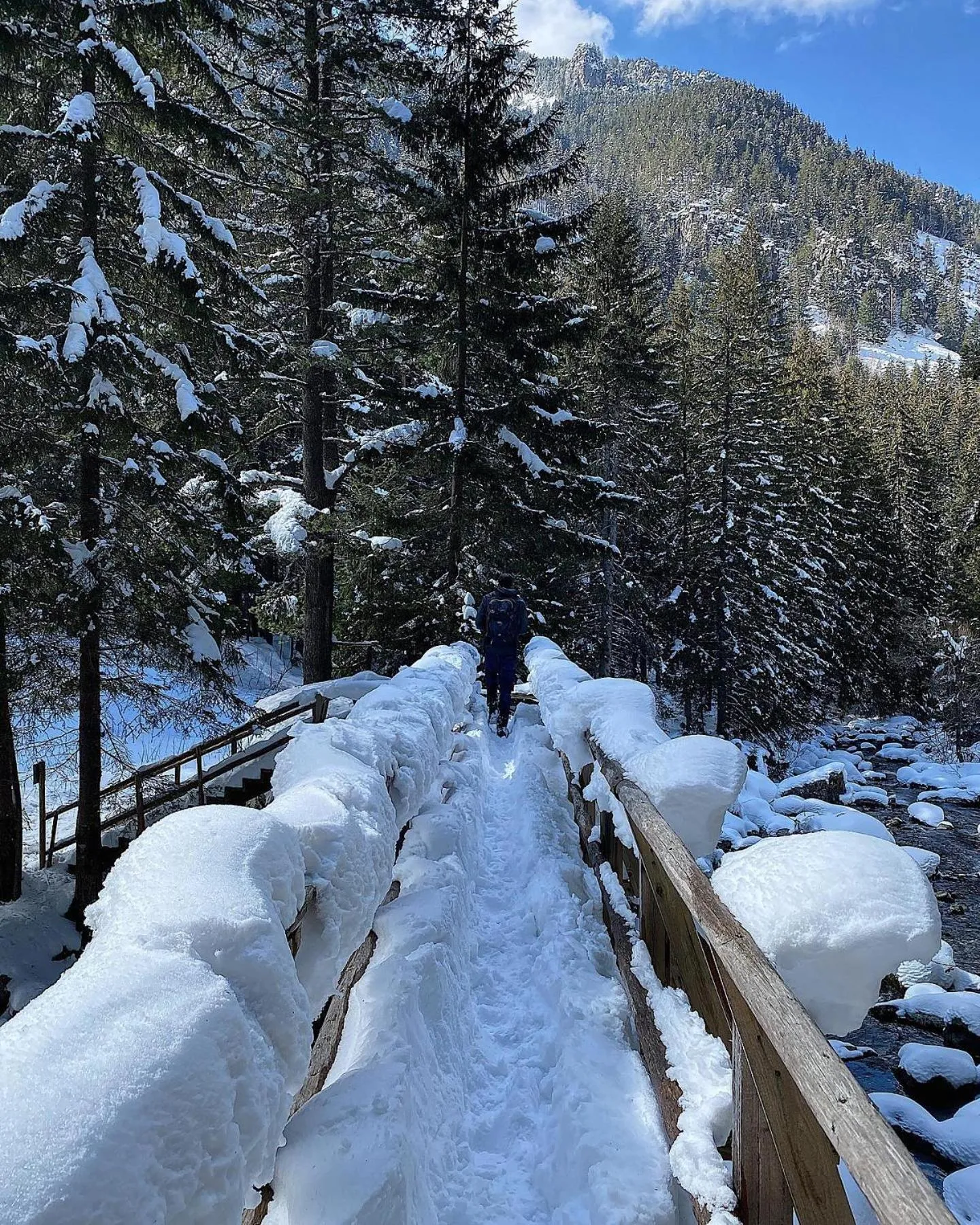 Natural landscape in Hotel COTA1110