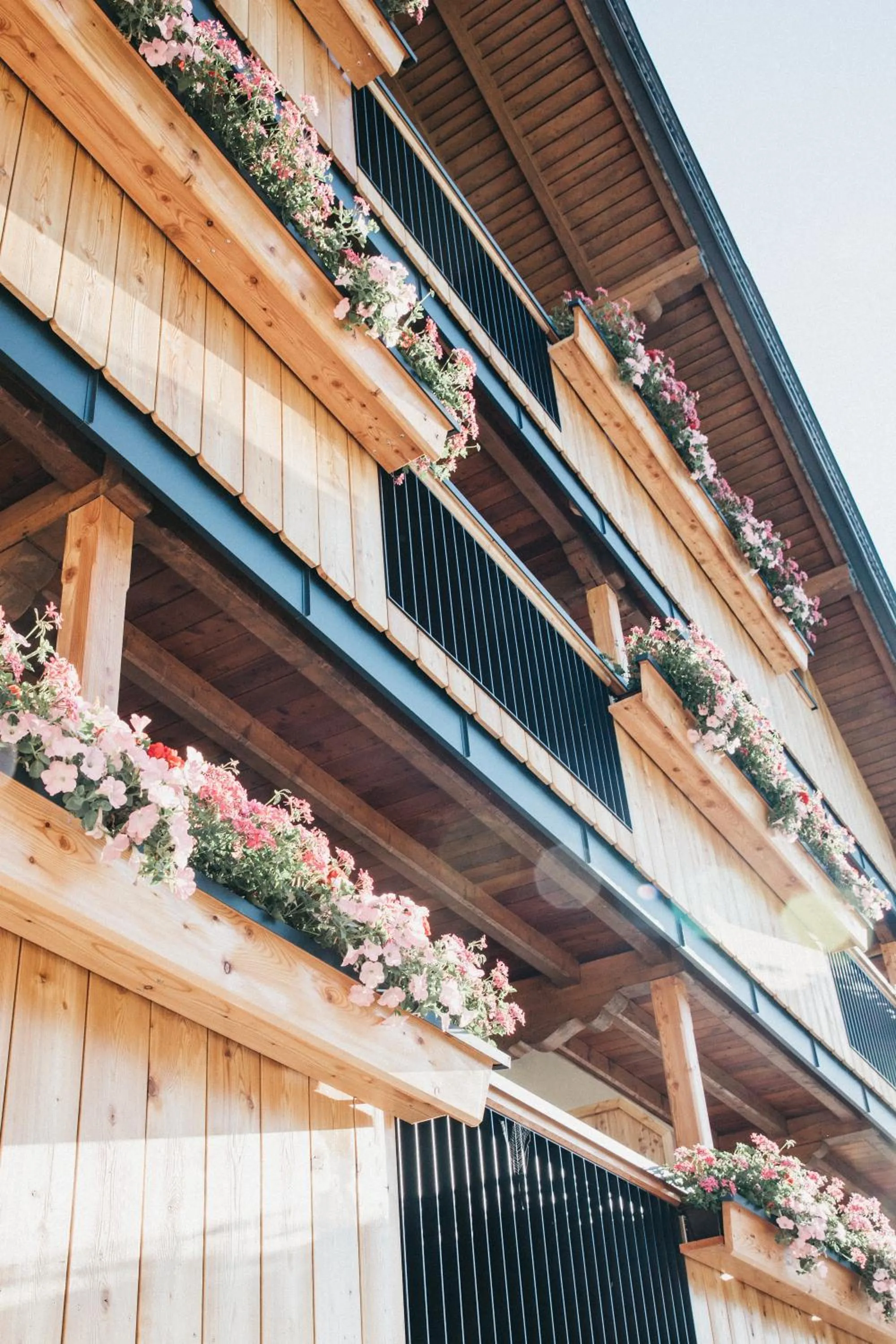 Balcony/Terrace in Hotel Wagnerhof