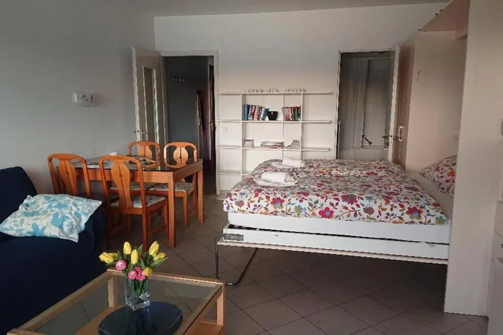 FLAT WITH AMAZING VIEW OVER THE GULF OF LUGANO