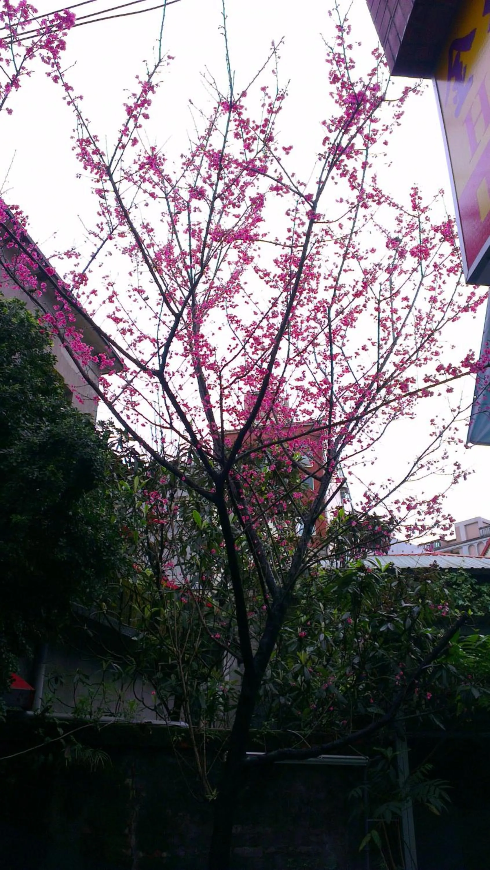 Decorative detail in King Town Hotel