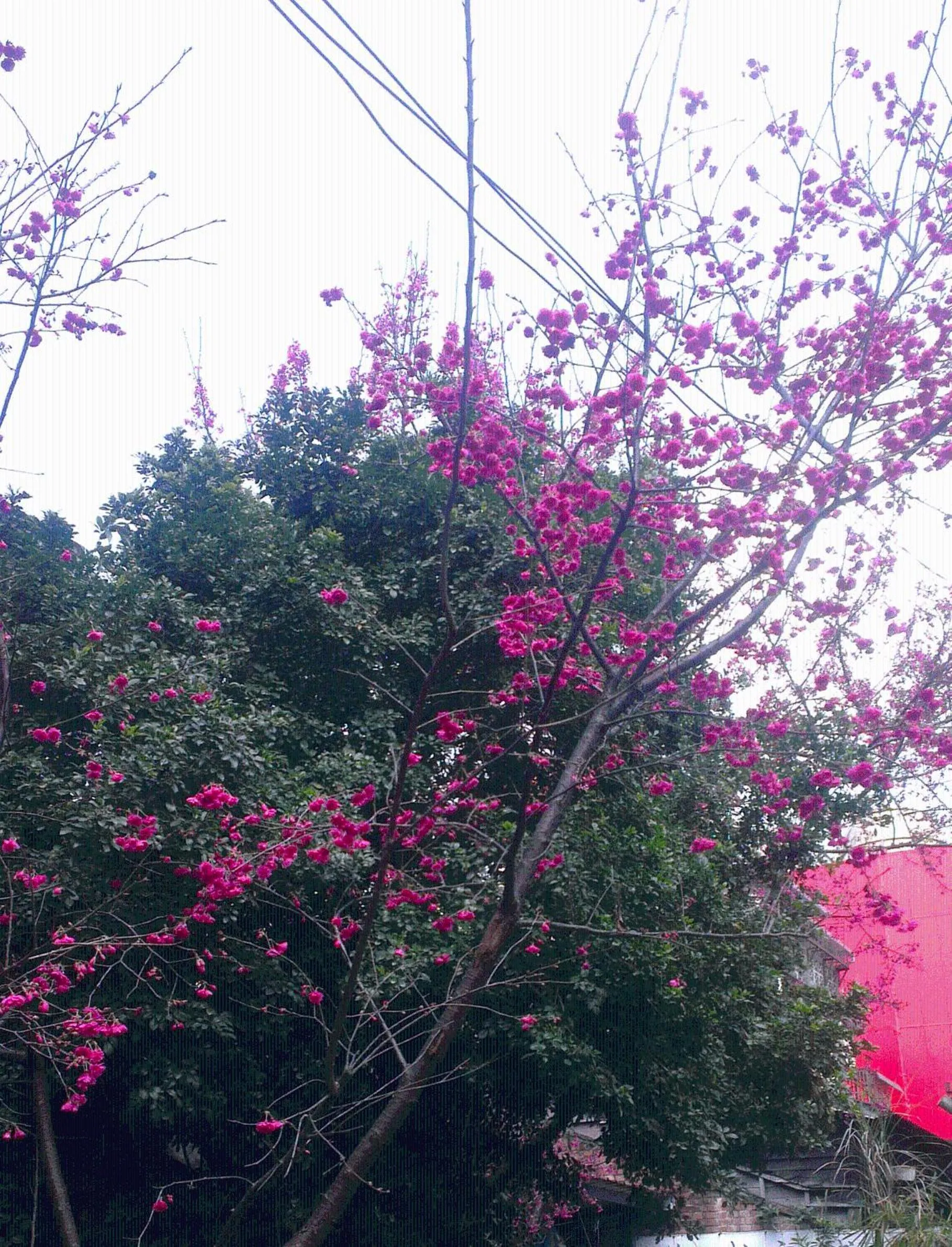 Decorative detail in King Town Hotel