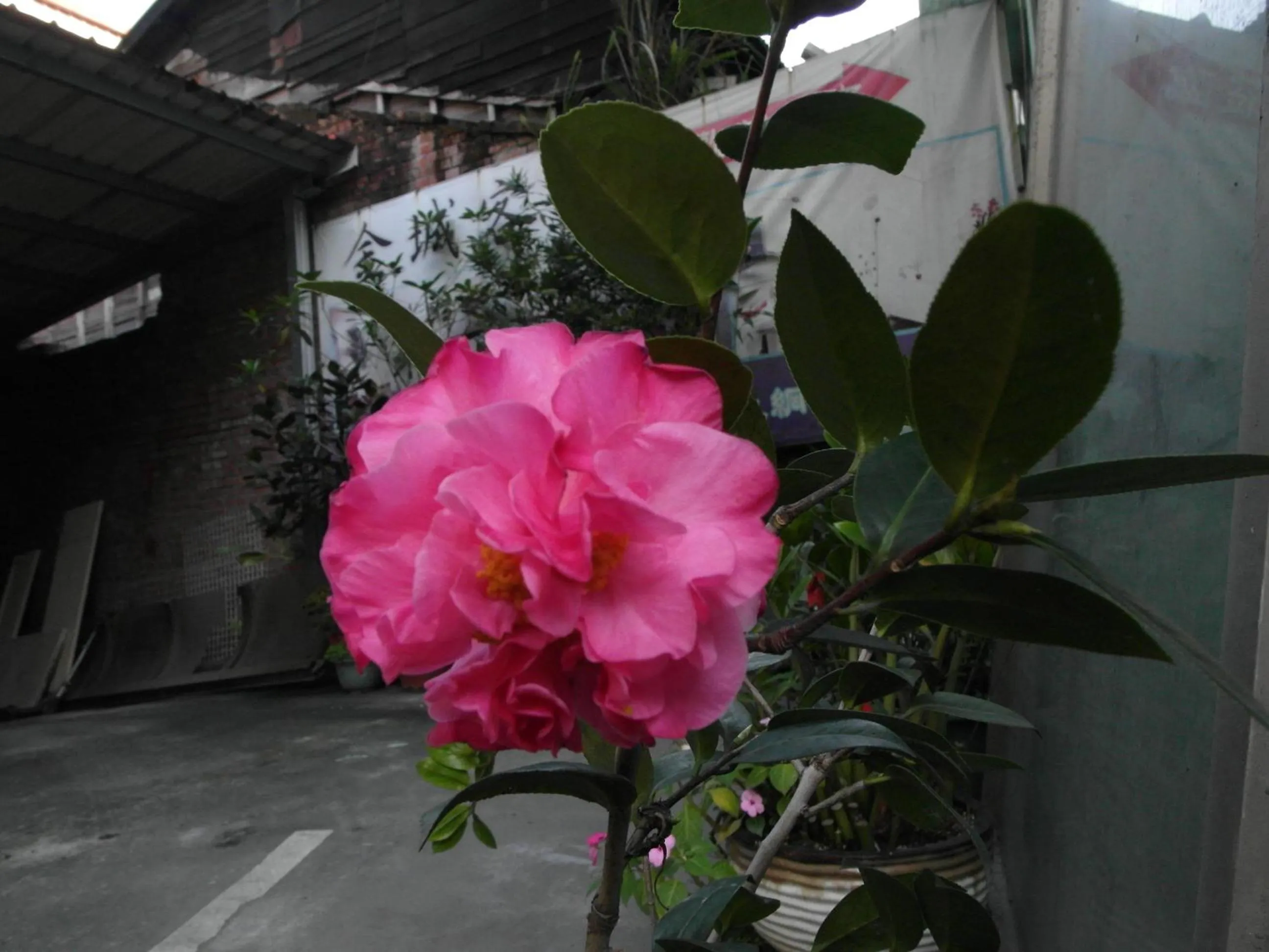 Decorative detail in King Town Hotel