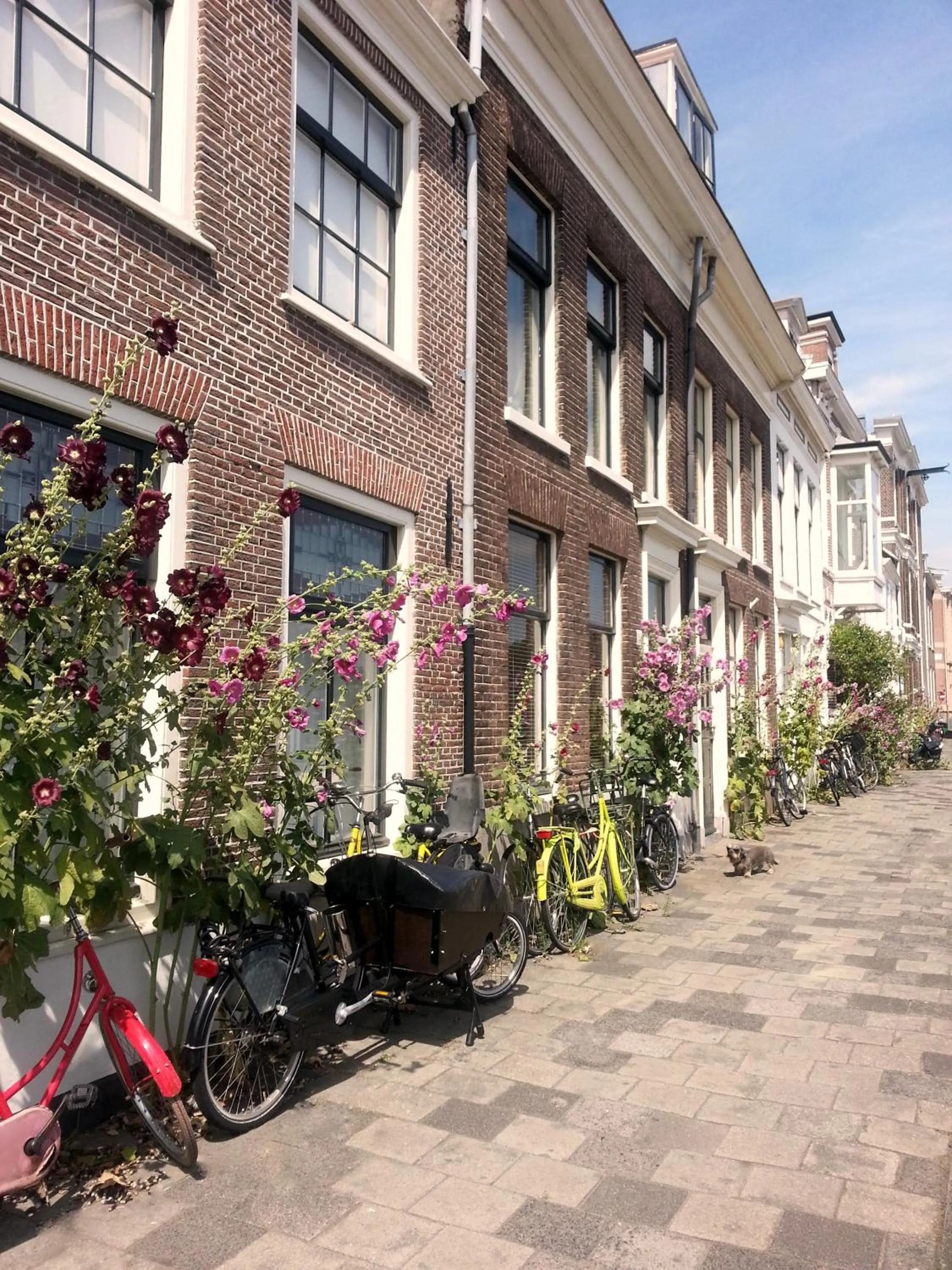 Property building in RiverSide Suite - Haarlem City Centre