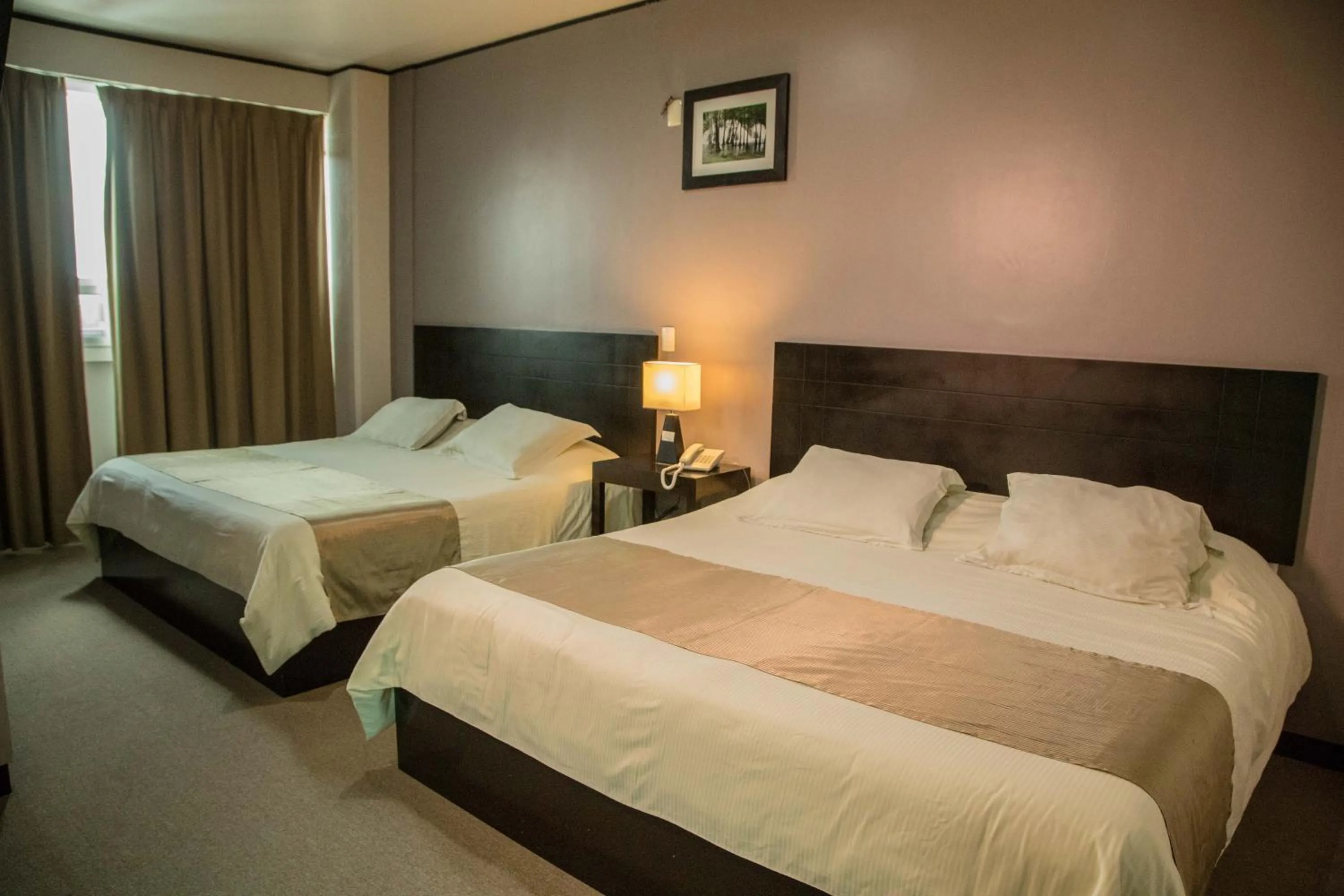 Photo of the whole room, Bed in TIERRA VIVA