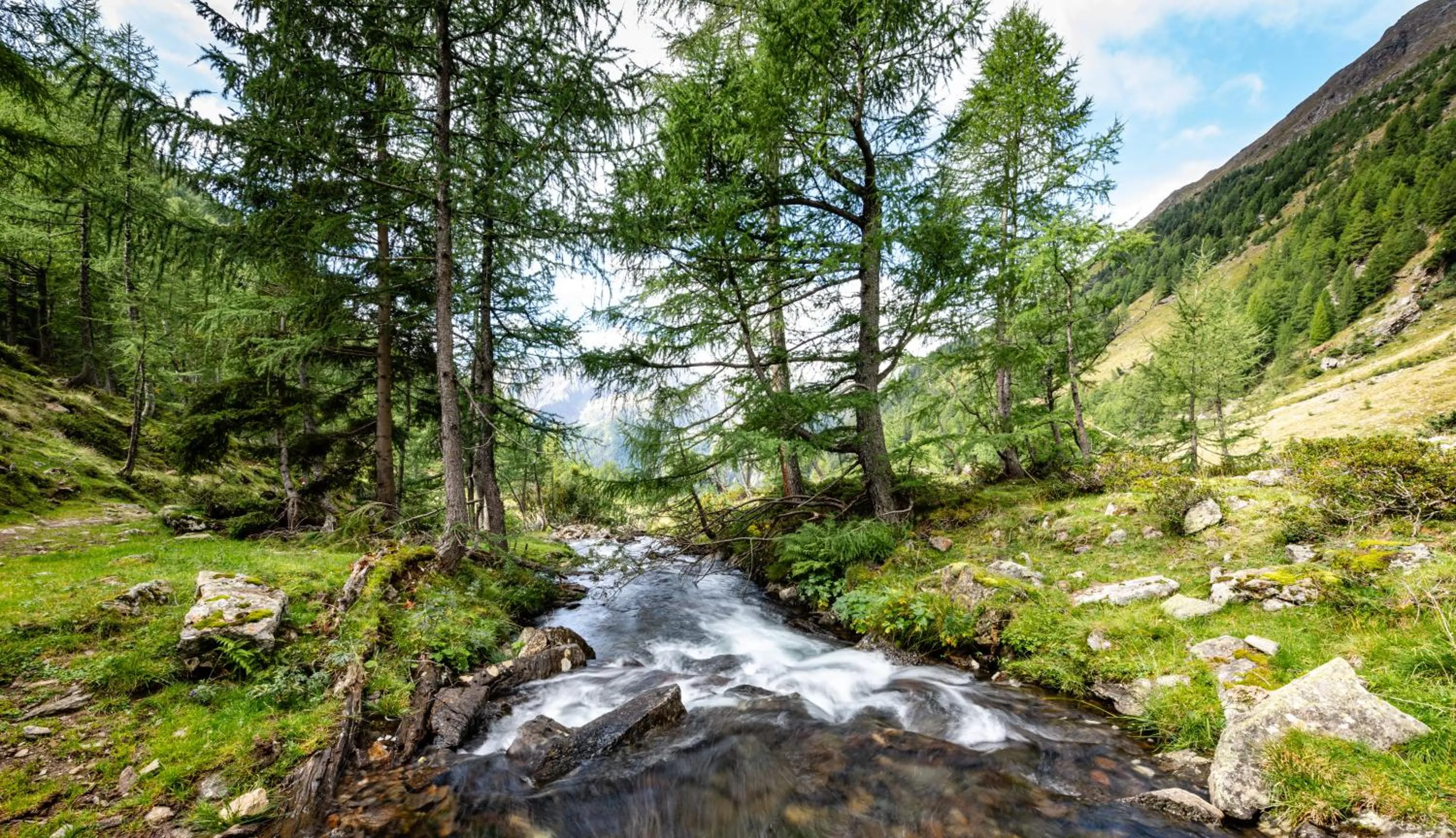 Natural landscape in Landhotel Postgut - Tradition seit 1549