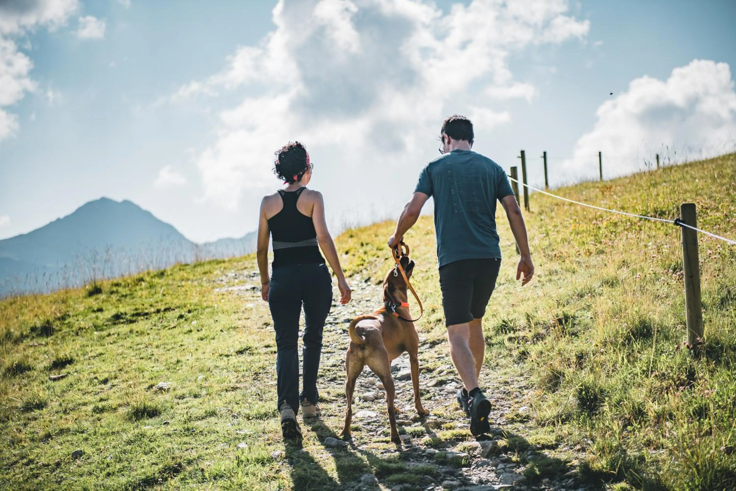 Hiking in Landhotel Postgut - Tradition seit 1549