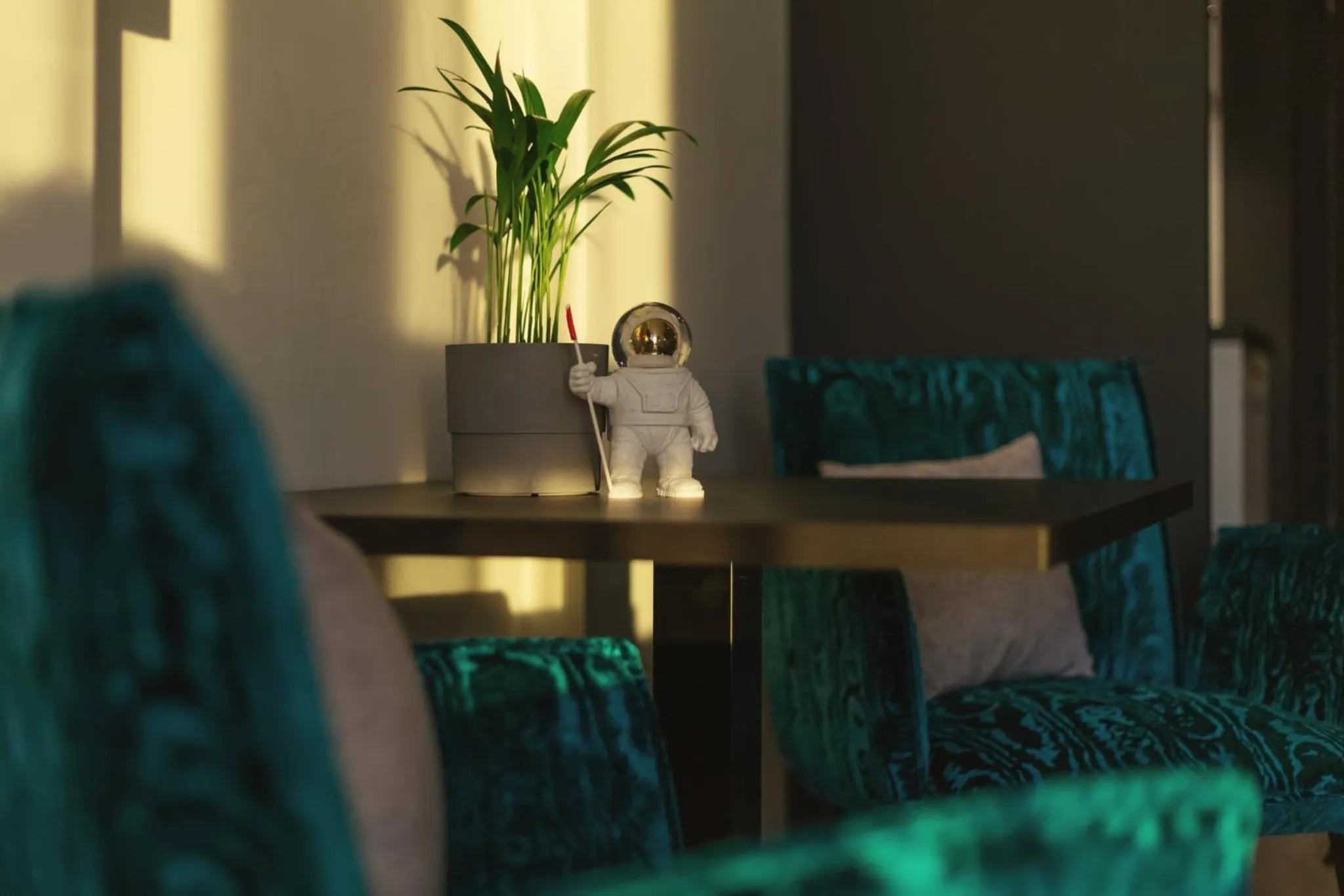 Photo of the whole room in the niu Star