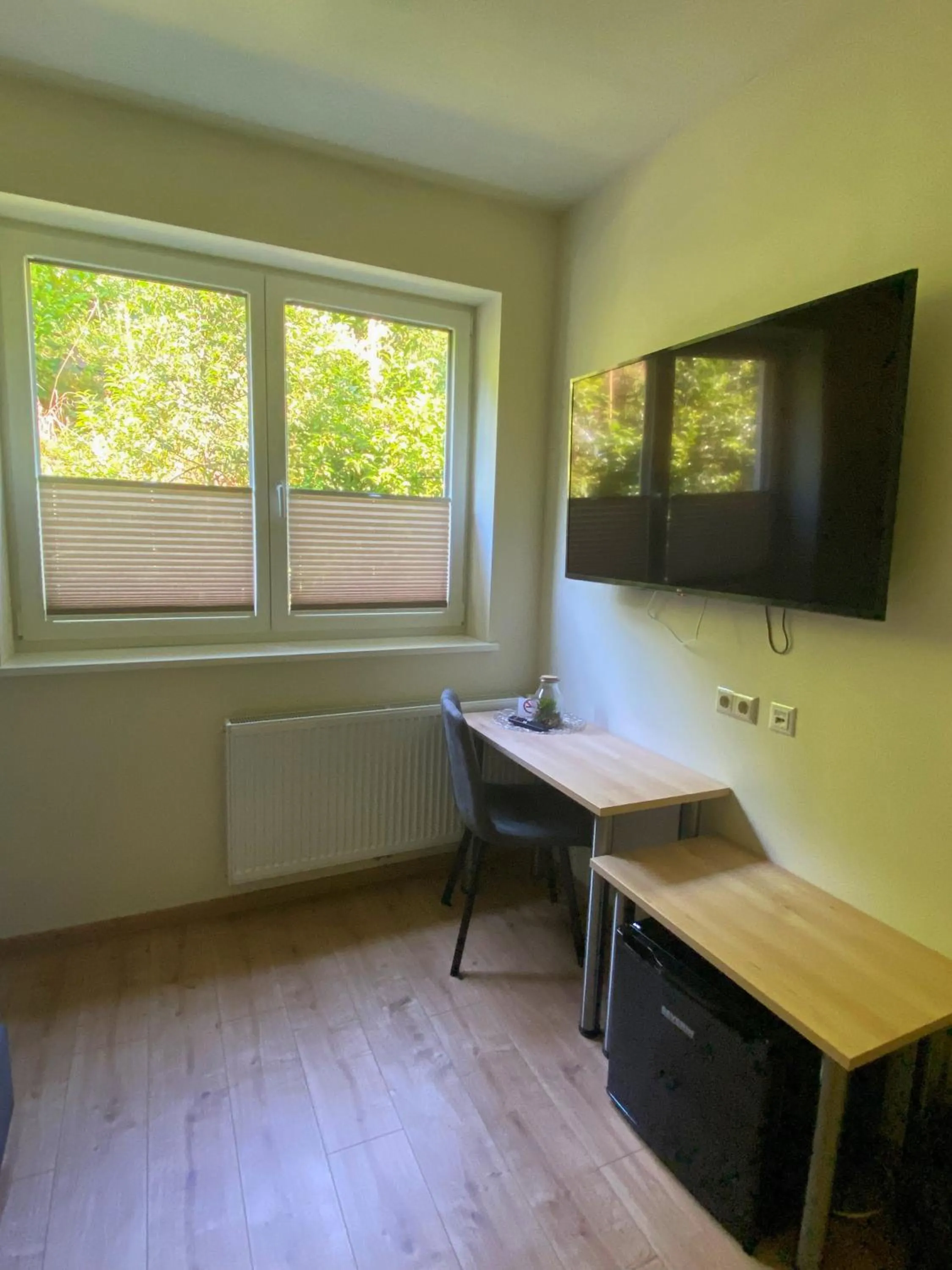 TV and multimedia in Hotel Seestuben