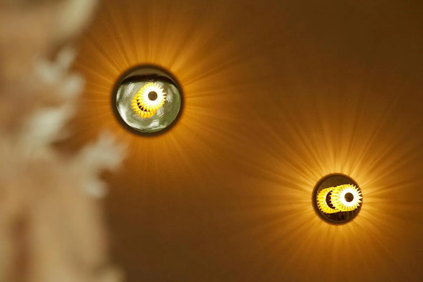 Property building in Chambre d'Amis by Alix