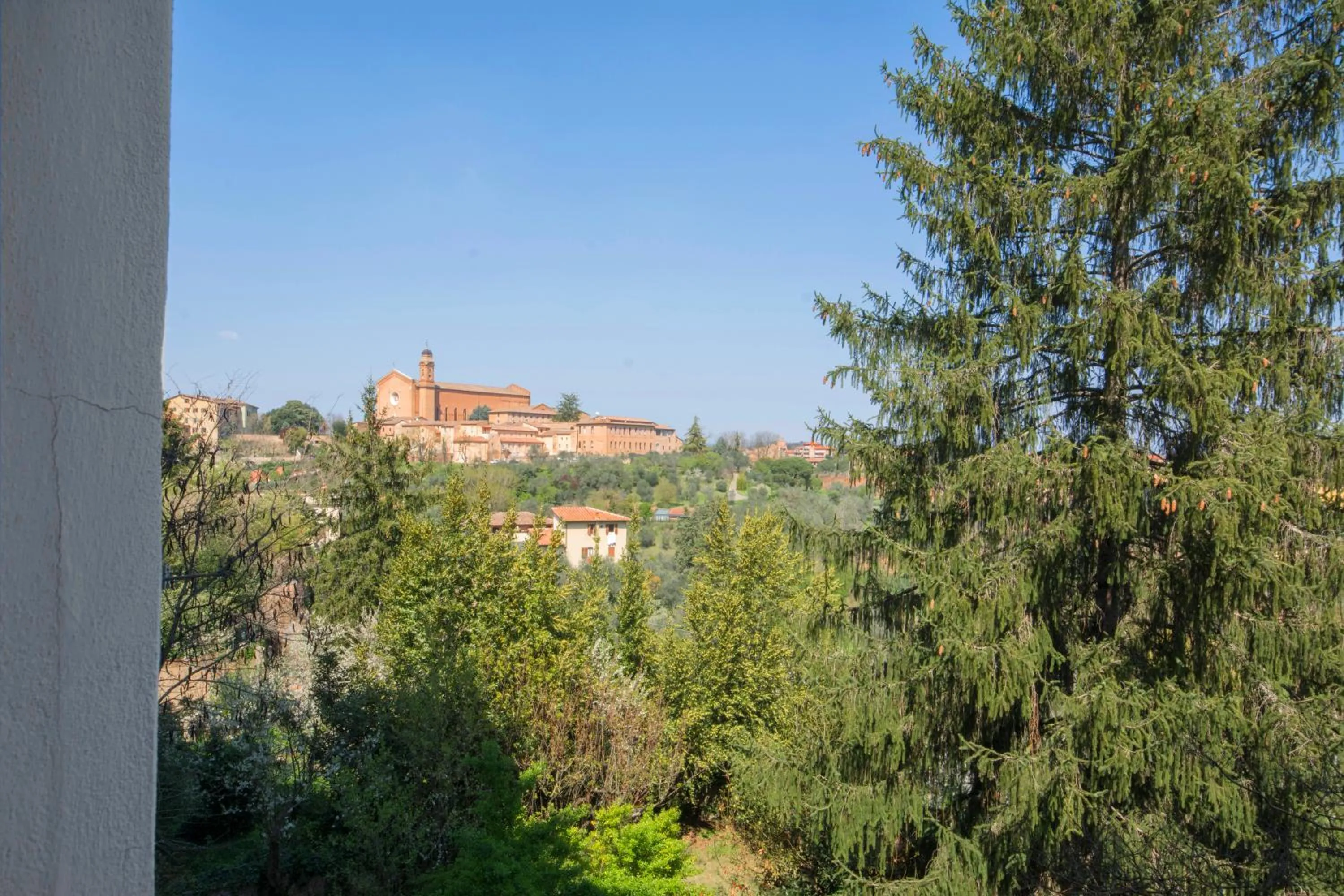 Garden view in B&B Pantaneto - Palazzo Bulgarini