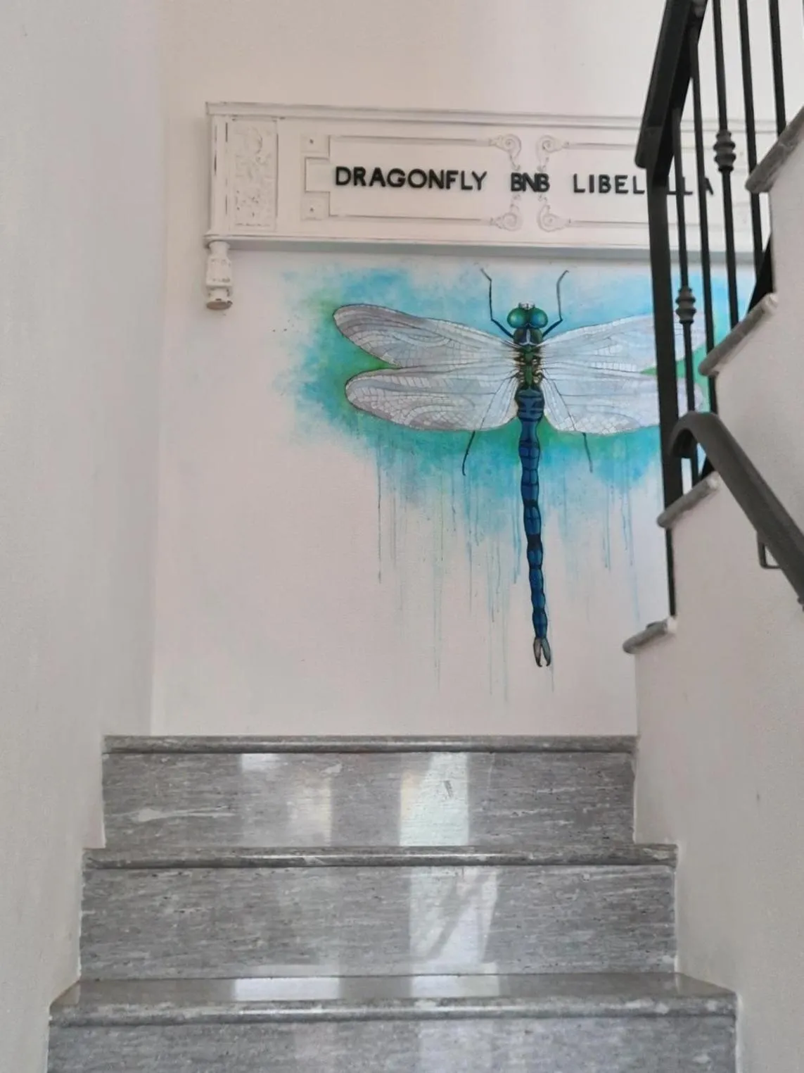 Logo/Certificate/Sign in Dragonfly Appartamento Blu