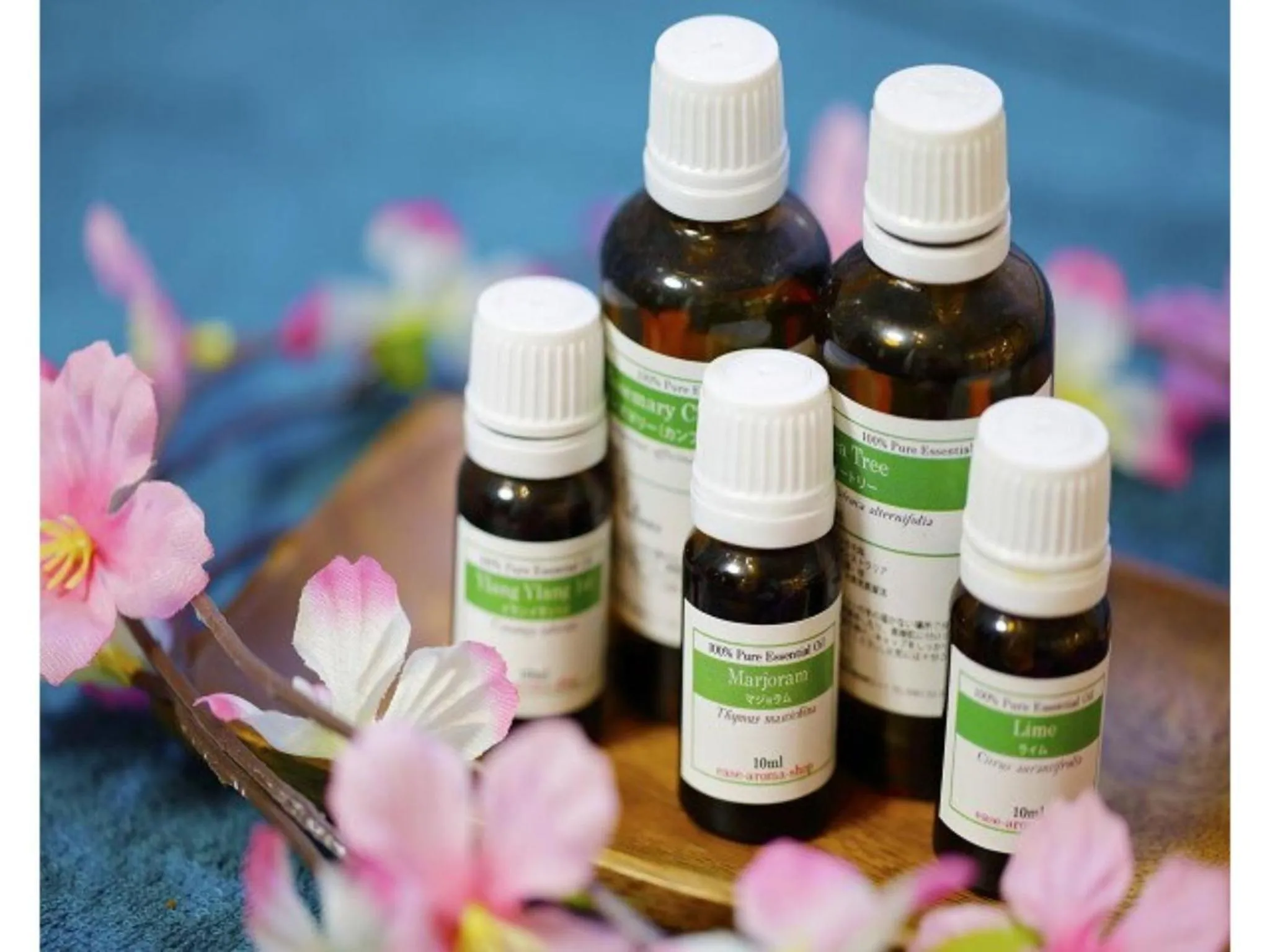 Tokyo Inn - Vacation STAY 10247v