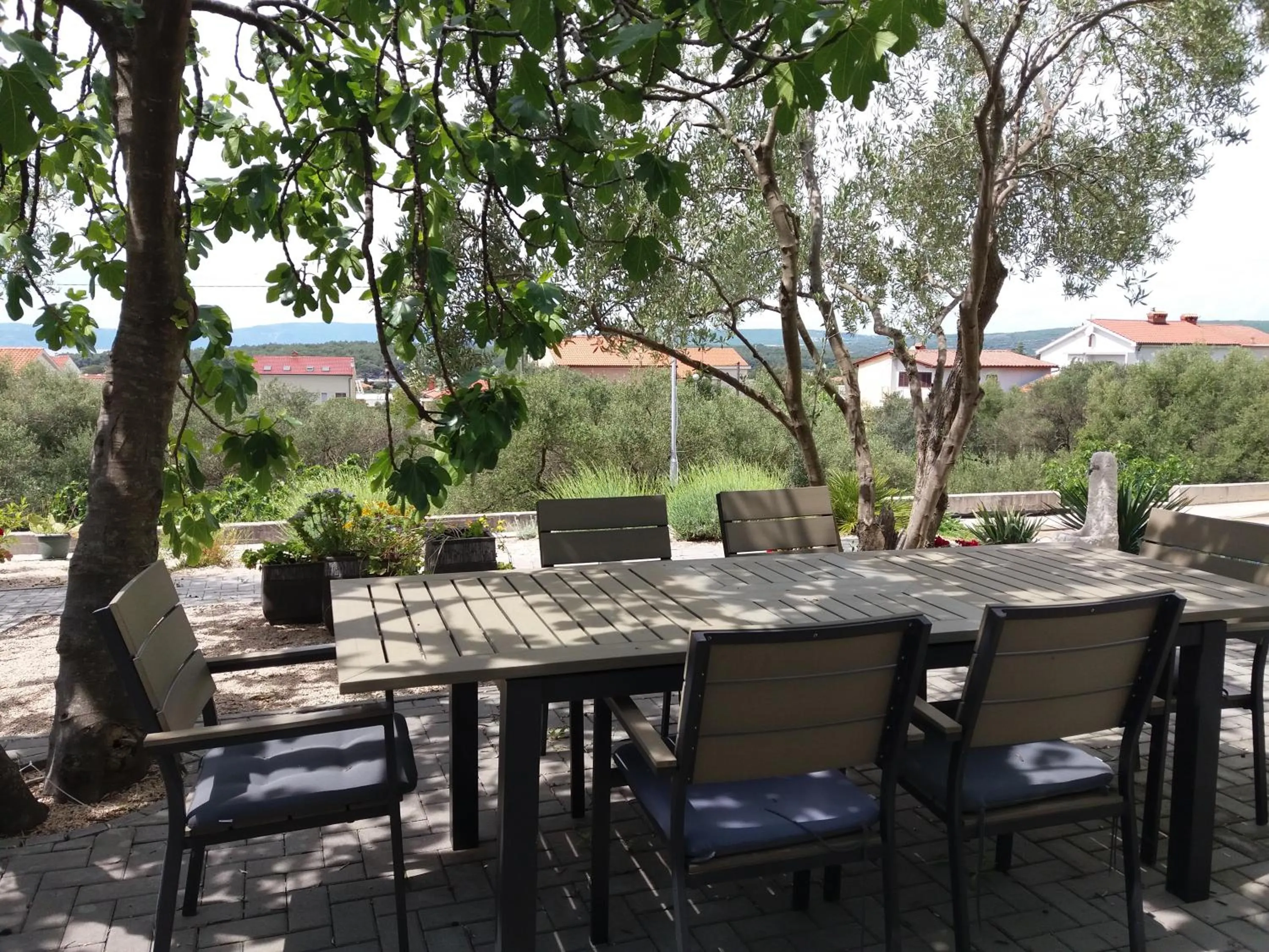 Garden in Apartmani Alma