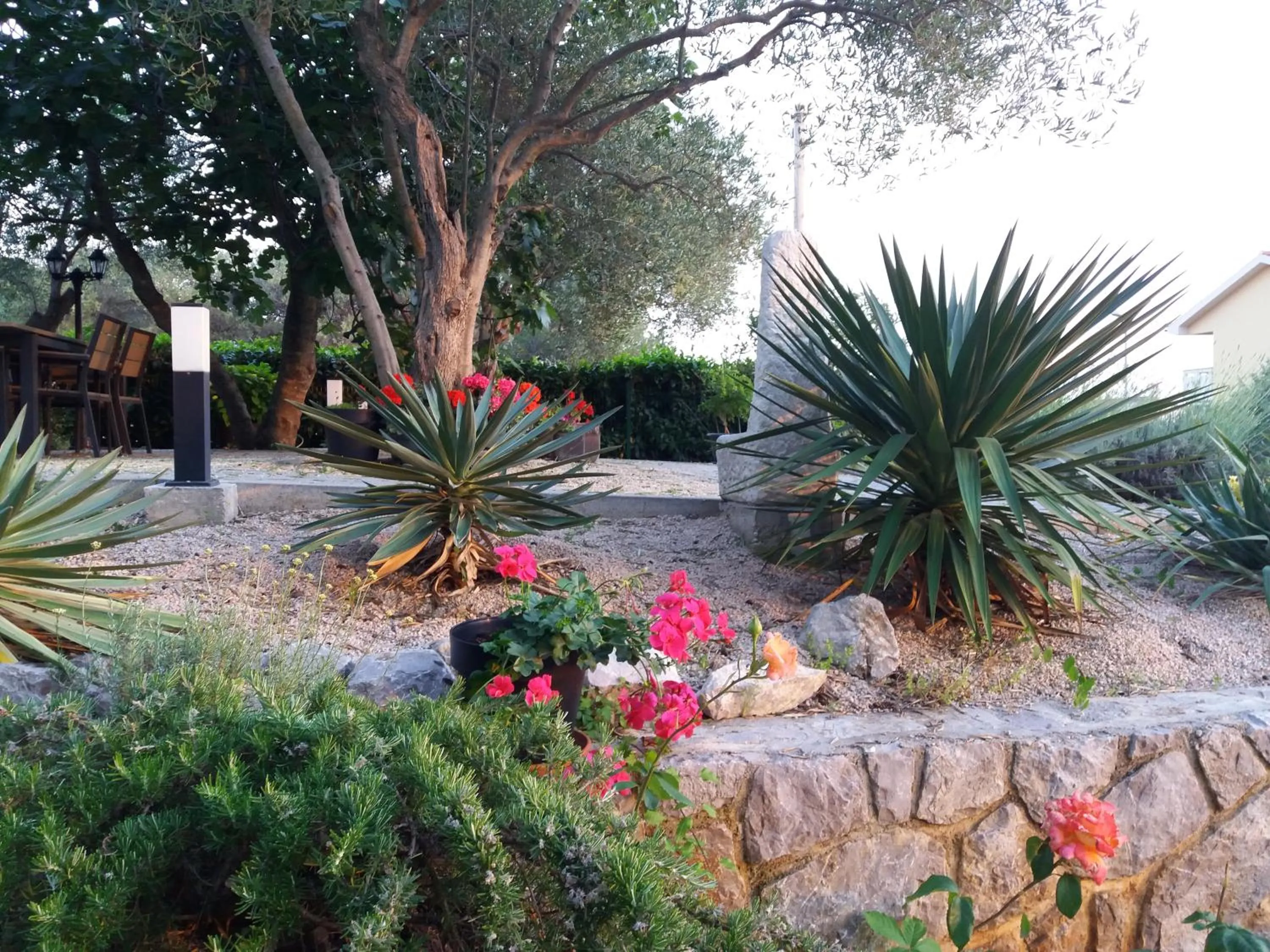 Garden in Apartmani Alma