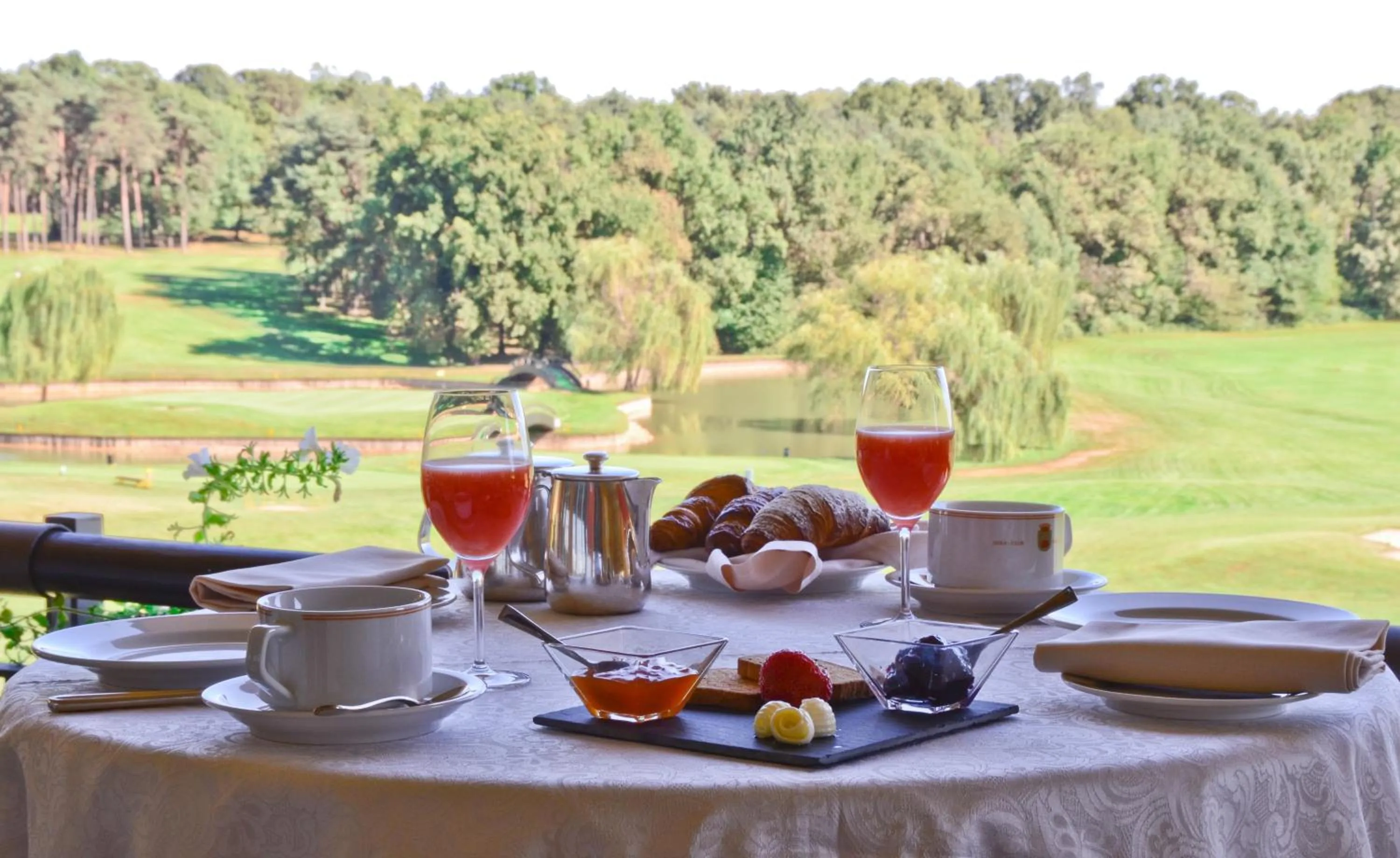 Garden view in Golf Hotel Castelconturbia