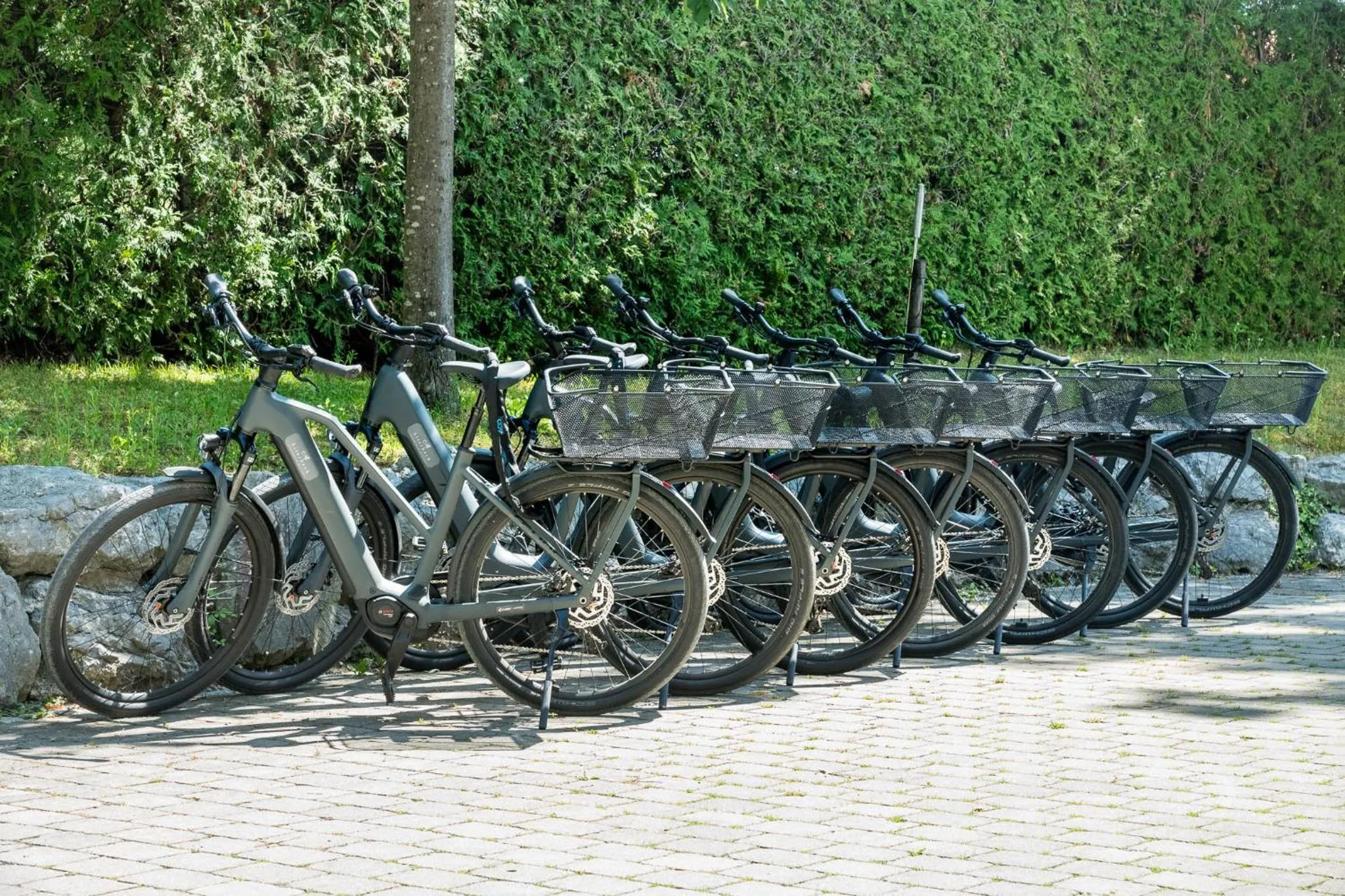 Cycling in Hotel Aiterbach am Chiemsee