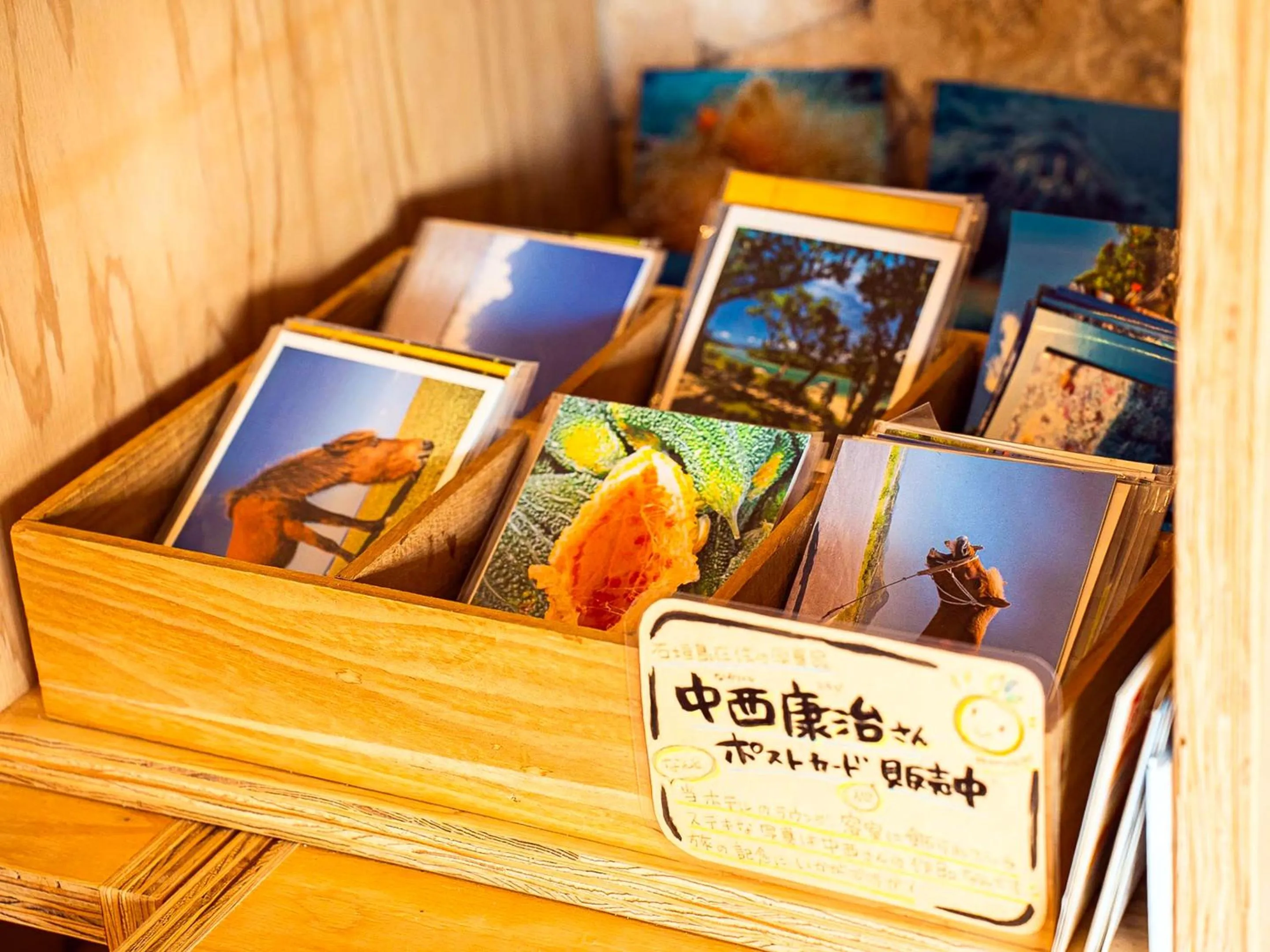 Lobby or reception in Haruhoo Resort ISHIGAKI