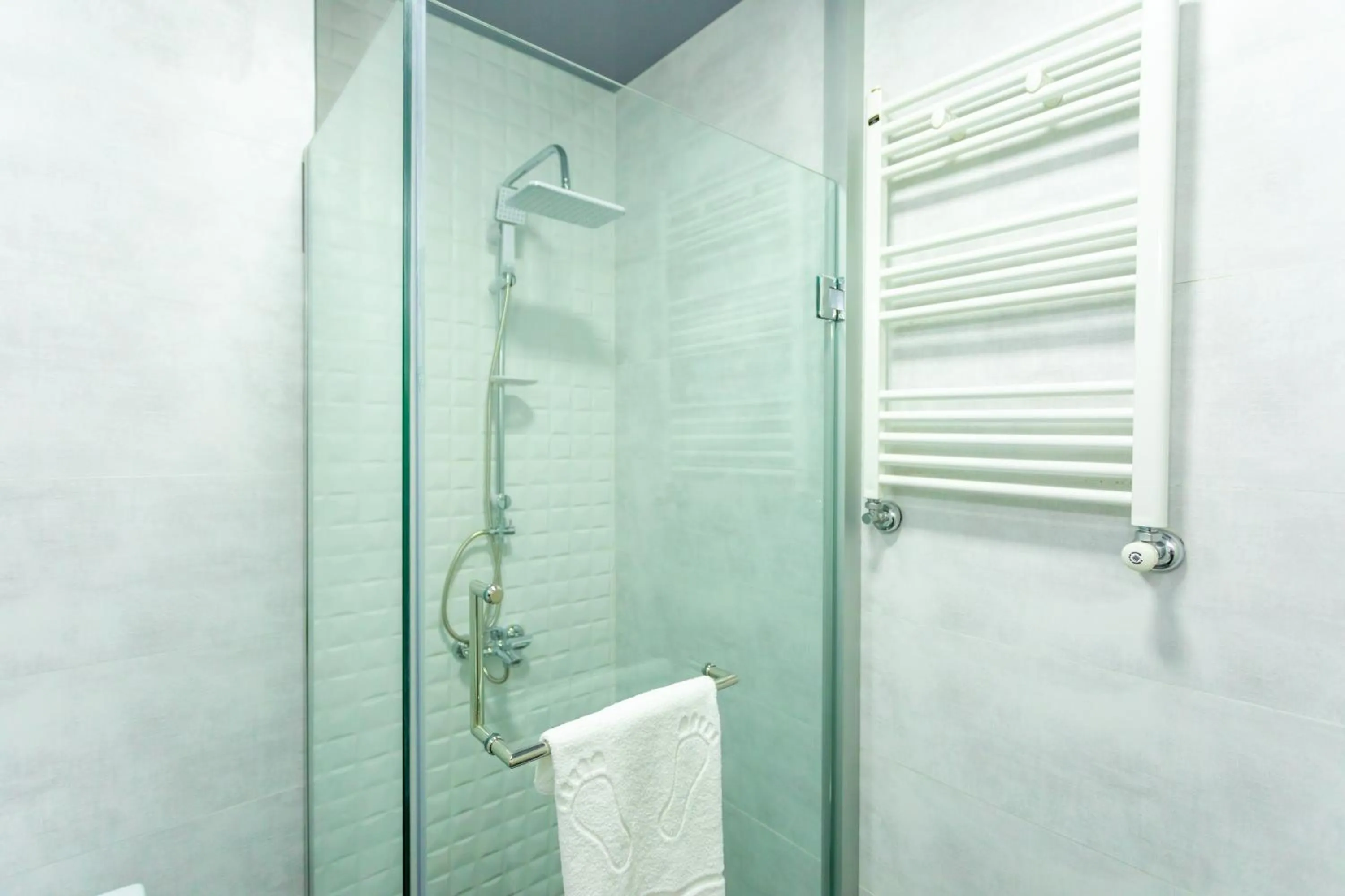 Shower in Hotel Rustaveli